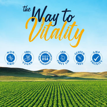 Vitalitown Akkermansia Probiotic GLP-1 with Chicory Inulin | 2 Billion TFU | Akkermansia Muciniphila Probiotics for Men & Women | Gut Health | Digestion | Non-GMO | 60 Veg Caps