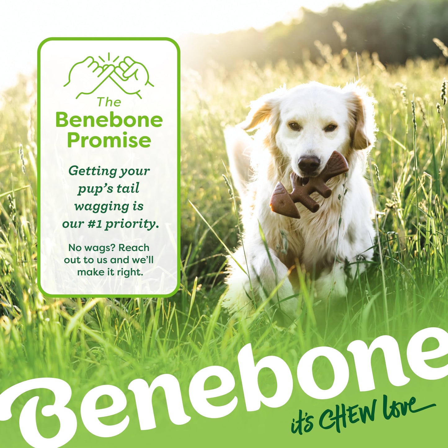 Benebone Medium 4-Pack Dog Chew Toys for Aggressive Chewers, Made in USA