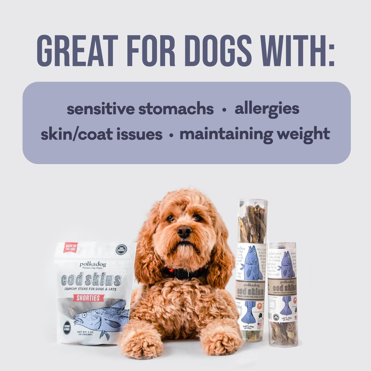 Polkadog Cod Skins Dog Treat - Lean Protein, Made in USA, Single-Ingredient, Grain & Gluten Free, for All Breeds - Crunchy Fish Skin Treat for Teeth Health