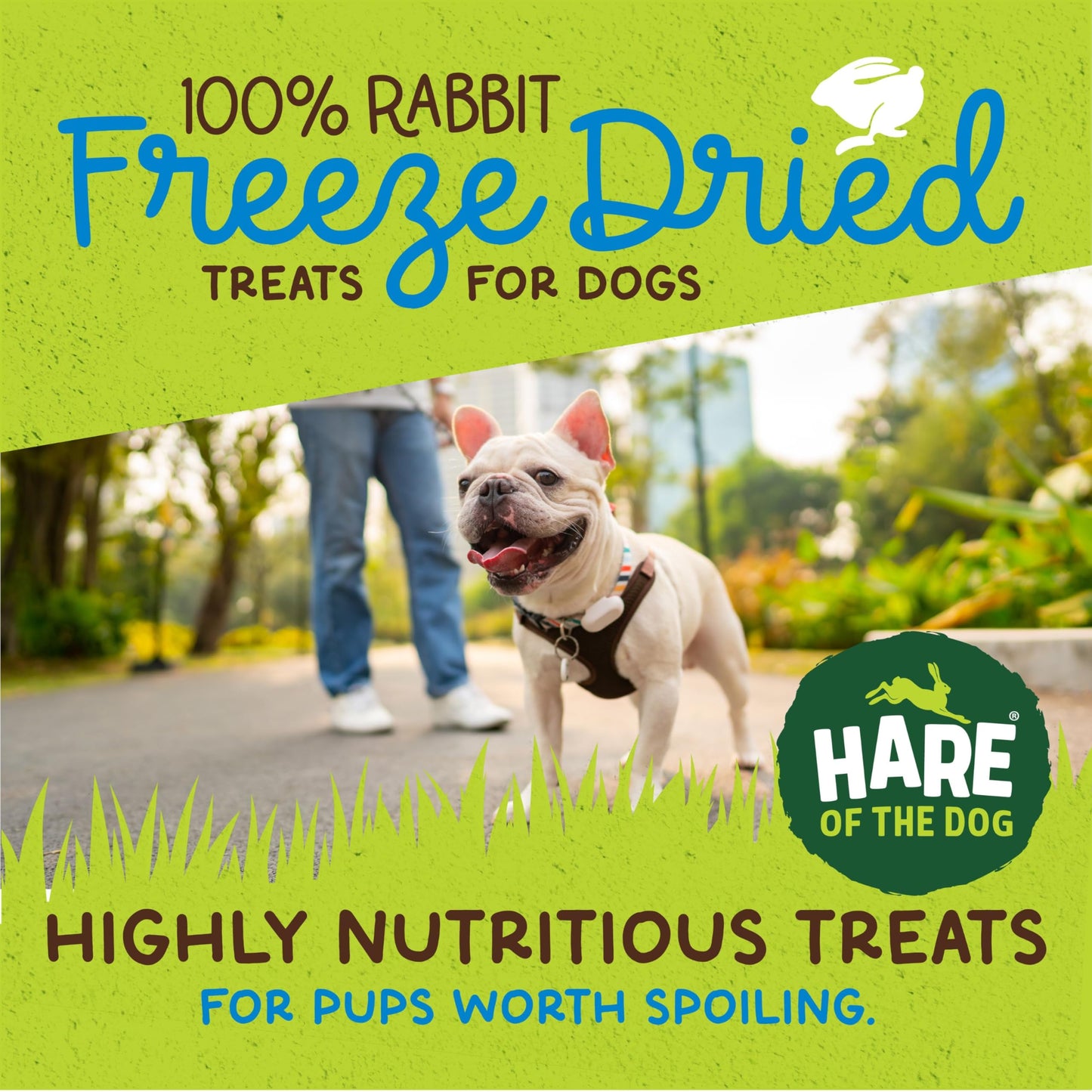 Hare of the Dog Freeze Dried Rabbit Treats for Dogs - All-Natural, Single-Ingredient, High-Protein Snacks - Made in the USA (2.25 Oz 2 Pack)