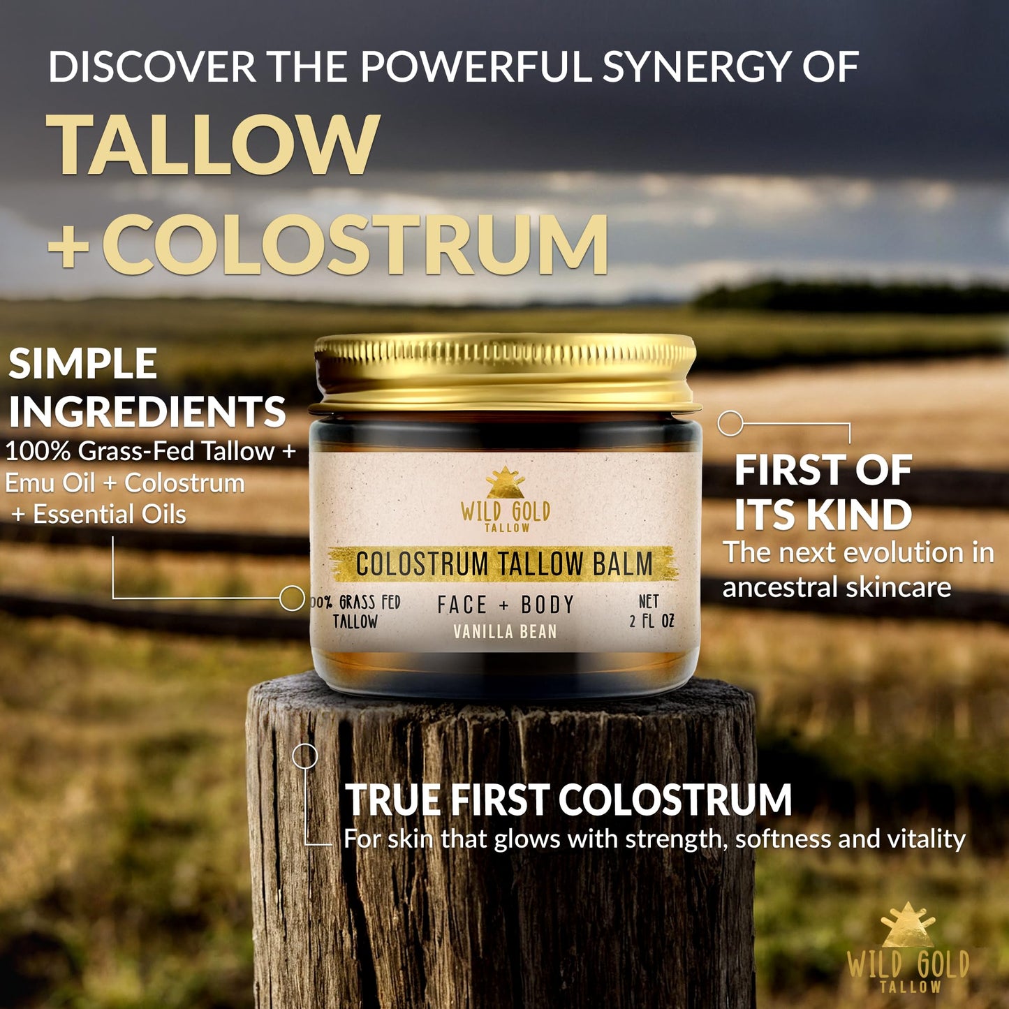 100% Grass Fed Tallow Balm with Colostrum & Emu Oil - Handmade Whipped Beef Tallow for Face and Body, Sensitive Skin Tallow Moisturizer made with True First Colostrum, (Vanilla + Ylang Ylang)