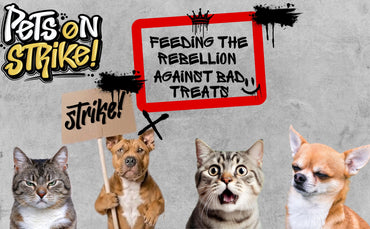 PETS ON STRIKE Freeze Dried Chicken Hearts for Dogs & Cats – Single Ingredient Dog Treats – USA Sourced & Made – High Protein, All Natural, Grain Free – Raw Freeze-Dried Training Treats (3oz)