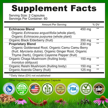 Echinacea Goldenseal Capsules - 10 in 1 Immune Support Supplement - 1455mg - Vegan Echinacea Capsules Supplement Made With Organic Whole Foods - Herbal Immune System Support - 2 Month Supply