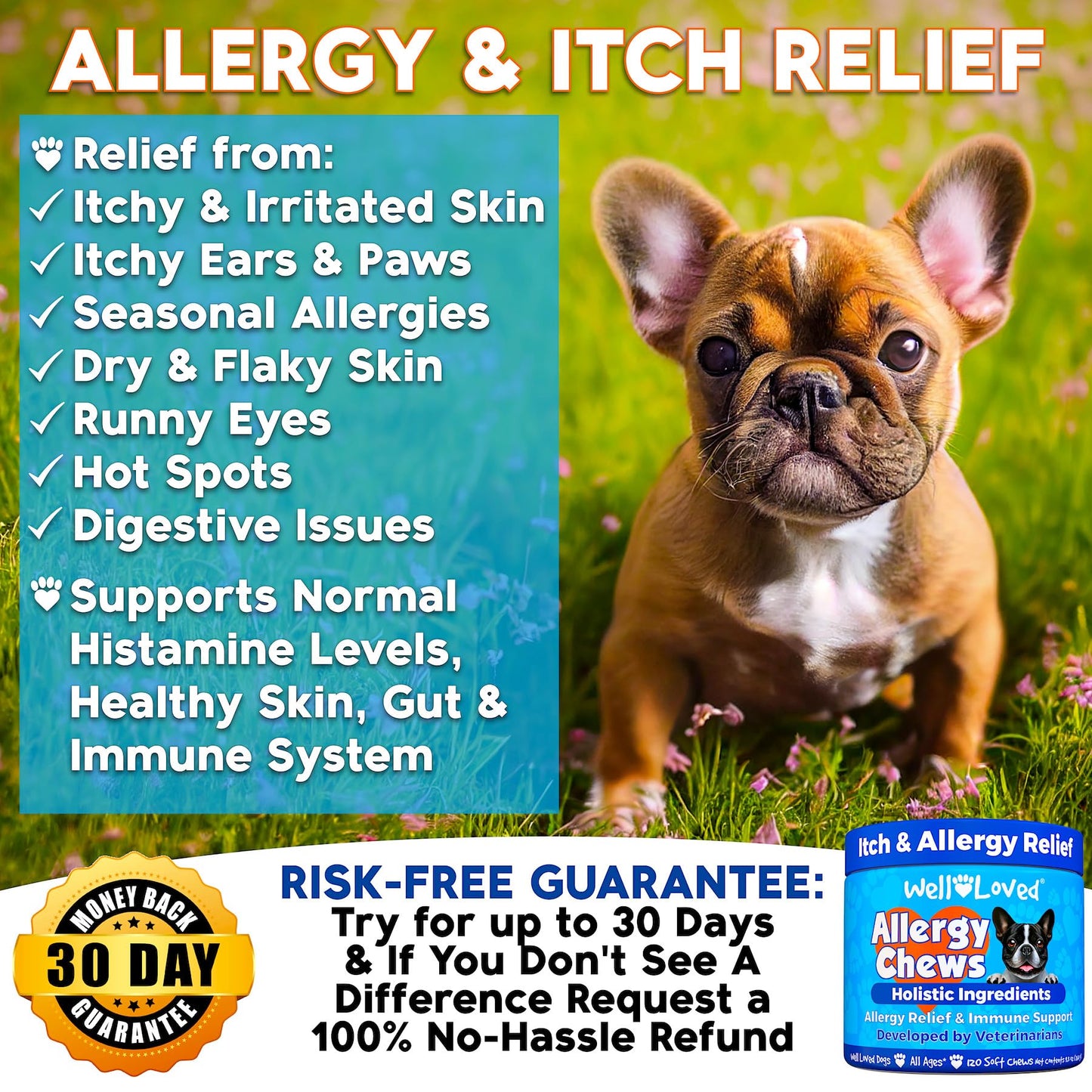Well Loved Dog Allergy Chews - Dog Allergy Relief, Itching Skin Relief, Hot Spot Treatment & Seasonal Allergies, Vet Developed, Anti Itch Skin Irritation Treatment, Made in USA, 120 Chews