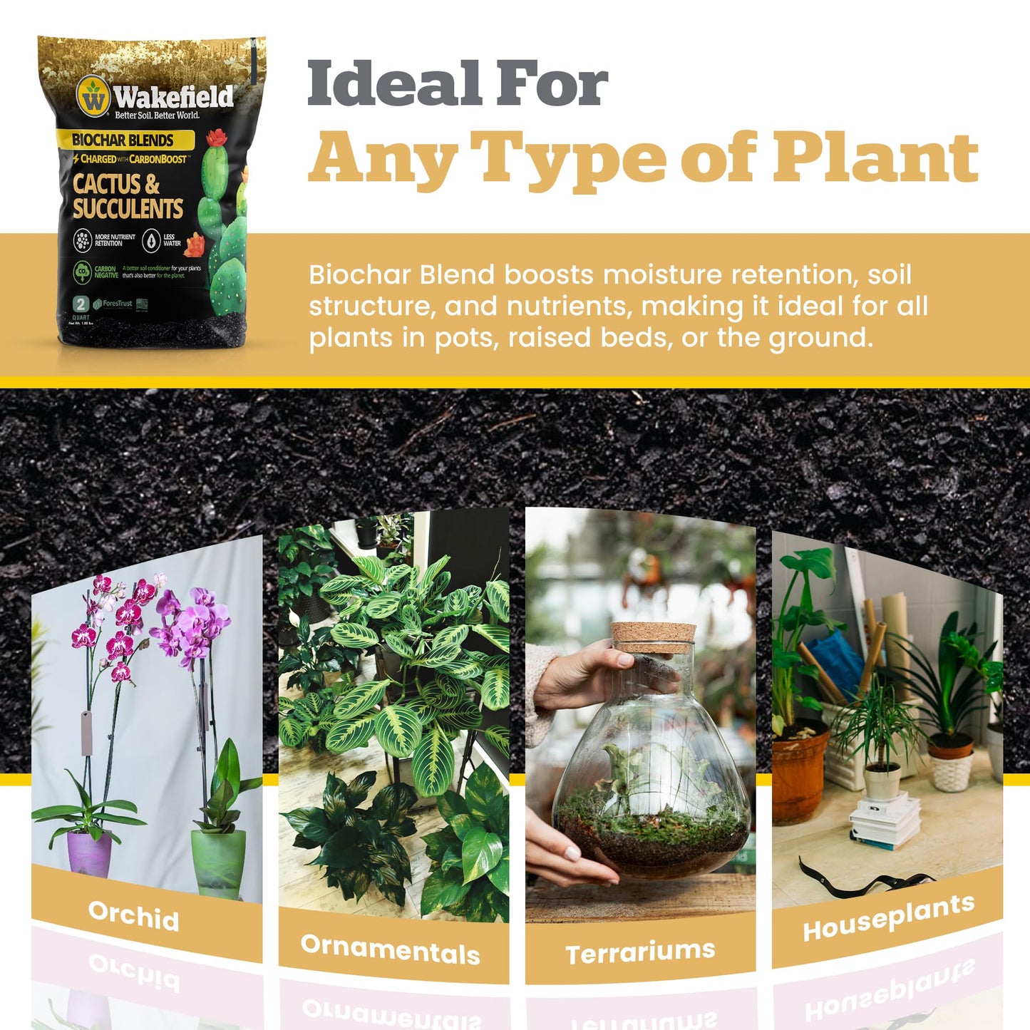 Wakefield Biochar Blend Potting Mix for Cactus & Succulent – Premium Potting Soil Blend with CarbonBoost Technology for Superior Drainage, Moisture Retention & Root Growth – 2 QT Organic Soil Mix
