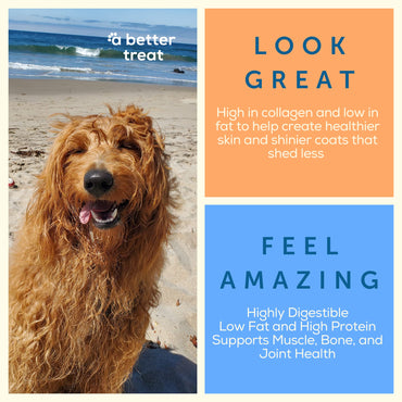 A Better Treat – Freeze Dried Chicken Breast Dog Treats, Free Range, Single Ingredient | Natural Healthy High Value | Gluten Free, Grain Free, High Protein, Diabetic Friendly | Made in The USA