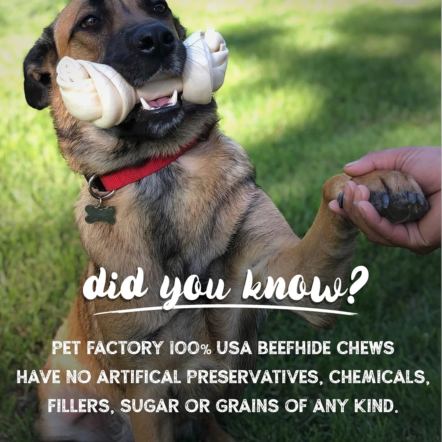 Pet Factory 78130 Beefhide | Dog Chews, 99% Digestive, Rawhides to Keep Dogs Busy While Enjoying, 100% Natural, Peanut Butter Flavored Rolls, Pack of 20 in 5" Size, Made in USA
