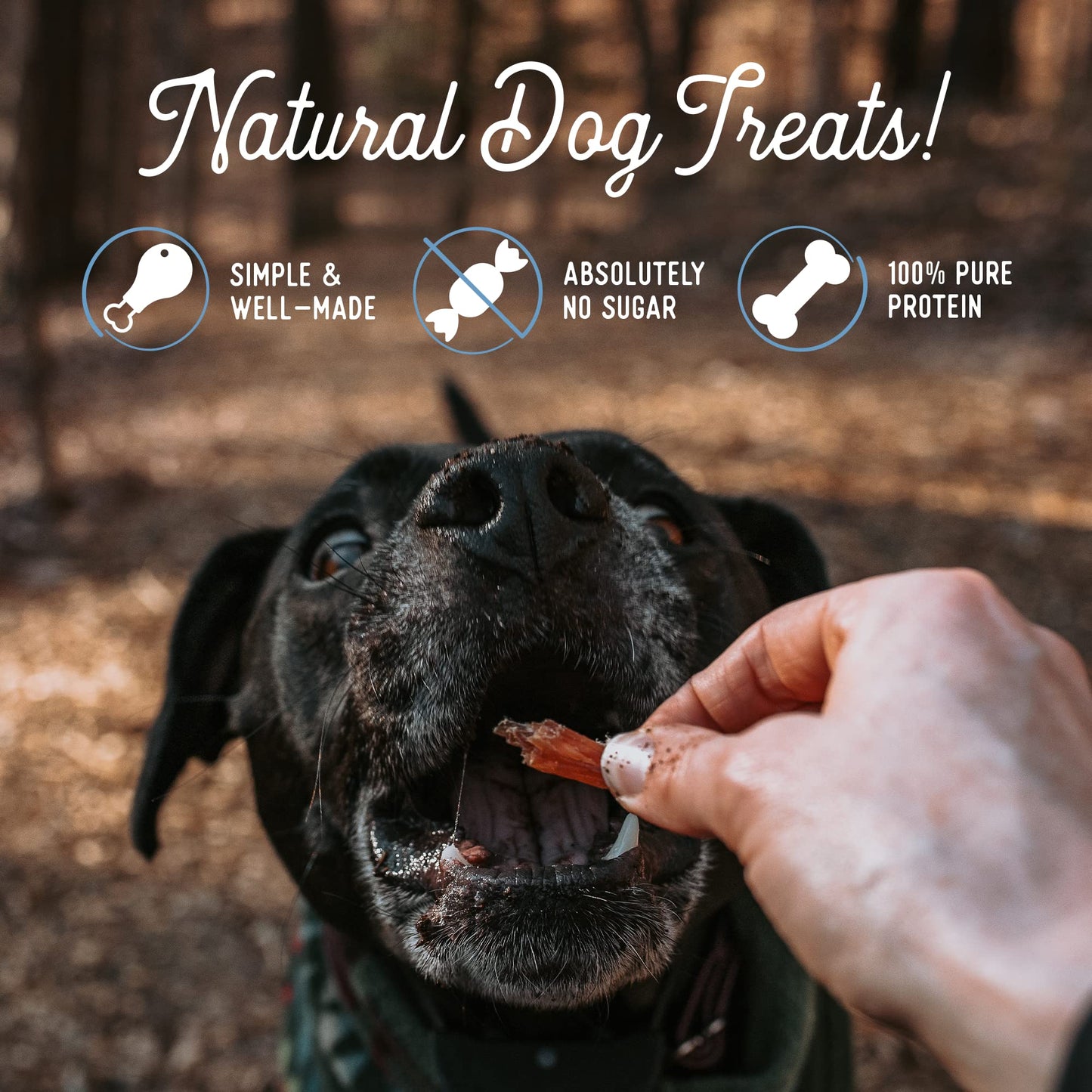 Beg & Barker Turkey Jerky for Dogs - Dog Training Treats - Natural Dog Treats Made in The USA - Grain Free, Diabetic-Friendly, High Protein, Sugar-Free