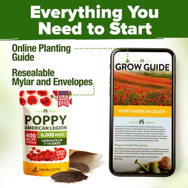 HOME GROWN American Legion Red Poppy Seeds - 6,000 Vibrant Wildflower Seeds for Planting Outdoors - Perennial Poppy Flowers - Memorial Garden & Pollinator Friendly (Papaver rhoeas)