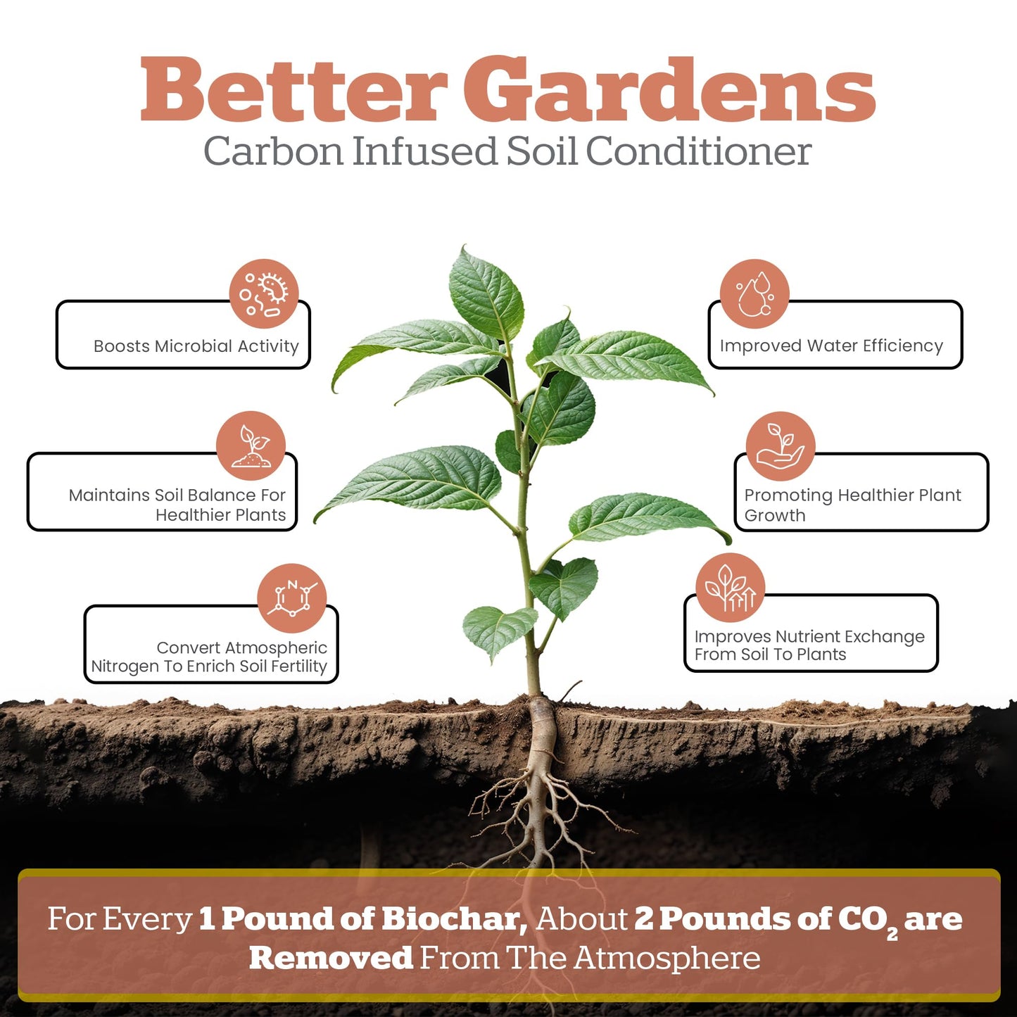 Wakefield Premium Biochar Blend – Organic Potting Soil for Vegetables, Tomatoes & Gardens – Potting Mix Enriched with Humic Acid & CarbonBoost – Versatile Top Soil for Indoor & Outdoor Plants-4quarts