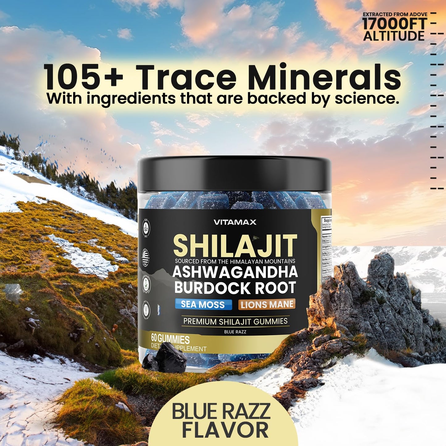 Organic Shilajit Gummies, Sea Moss, Ashwagandha, 105+ Trace Minerals – Organic Burdock Root & Lions Mane Mushroom - Blue Razz – Vegan & Non-GMO – Made in USA – 60ct
