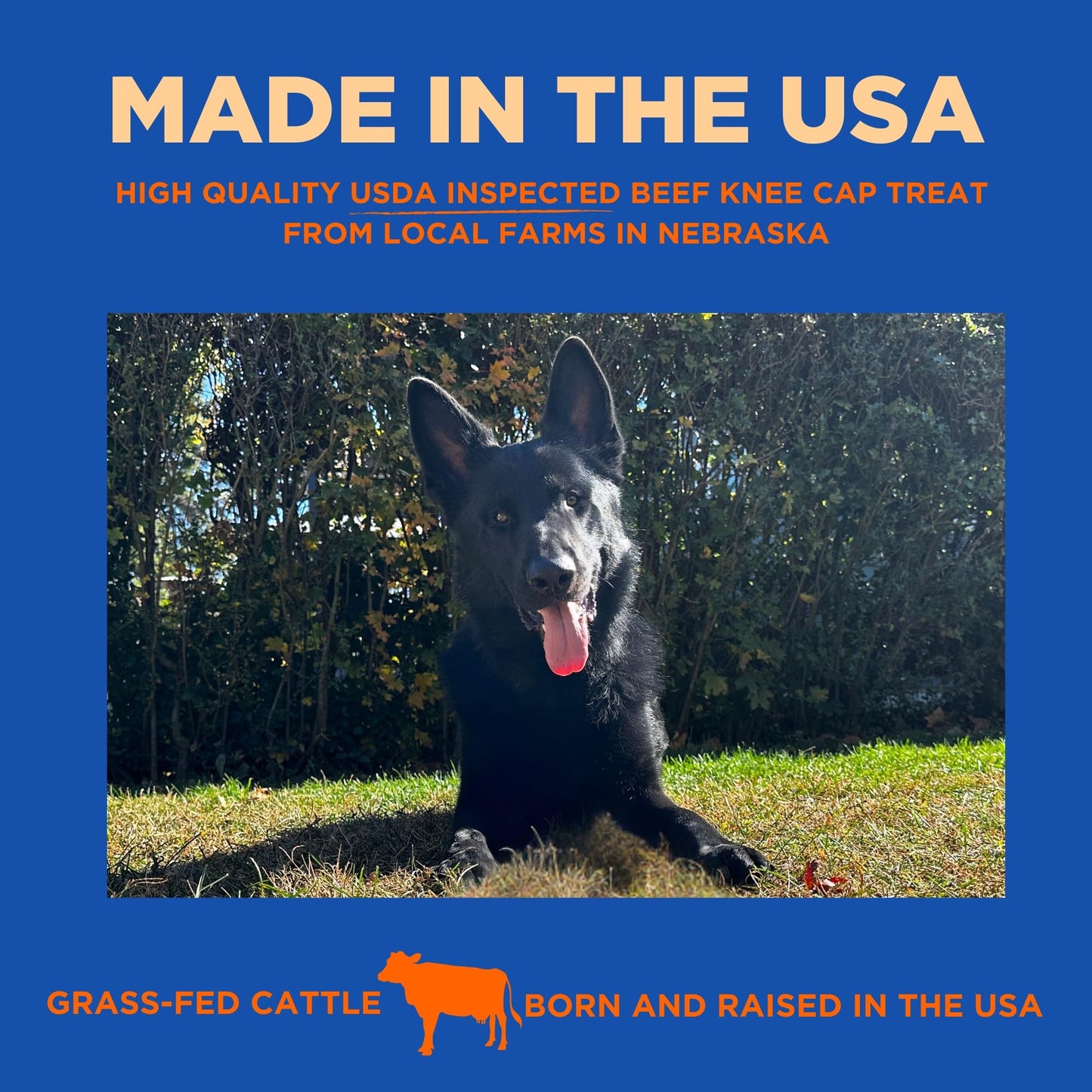 Paww Chew Knee Caps for Dogs, 100% Natural, Single Ingredient (12 Pack) Made and Sourced in the USA, High Protein, Grass-Fed Beef Knee Caps & Knuckle Bones, Long Lasting Cow Knee Caps, Meaty Dog Bones