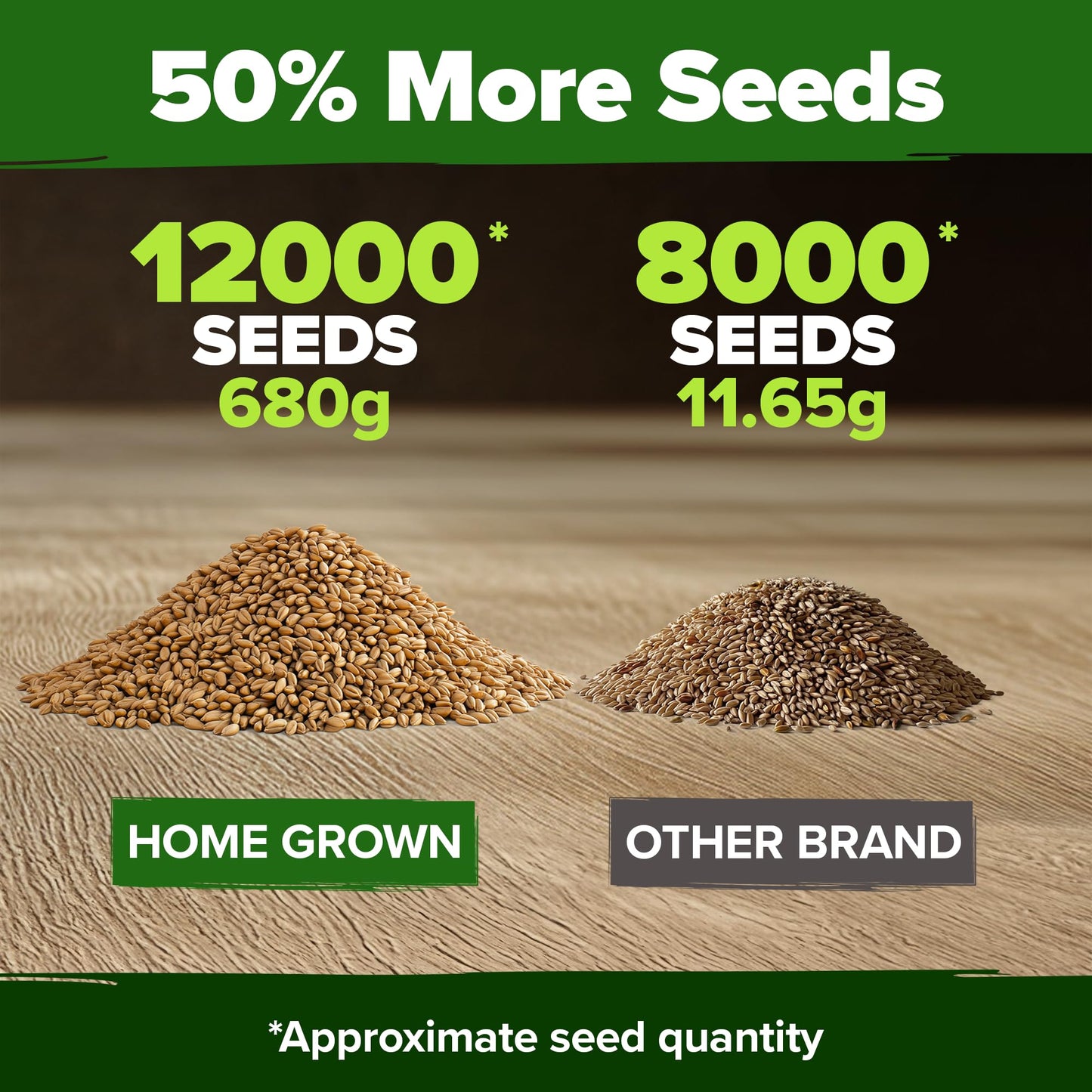 HOME GROWN 12,000+ Wheatgrass Seeds Bulk Pack(1.5 lb) π‘π’π‘-ππ π’ π¨π¦π Hard Red Winter Wheatgrass β Heirloom, Sprouting for Juicing, Microgreens, Smoothies & Indoor Gardening(Triticum aestivum)