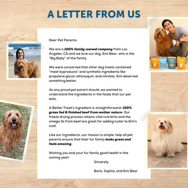 A Better Treat – Freeze Dried 100% Grass Fed & Finished Beef Dog Treats, Beef Liver, Single Ingredient | Natural, Healthy, High Value | Grain Free, High Protein, Diabetic Friendly | Made in The USA