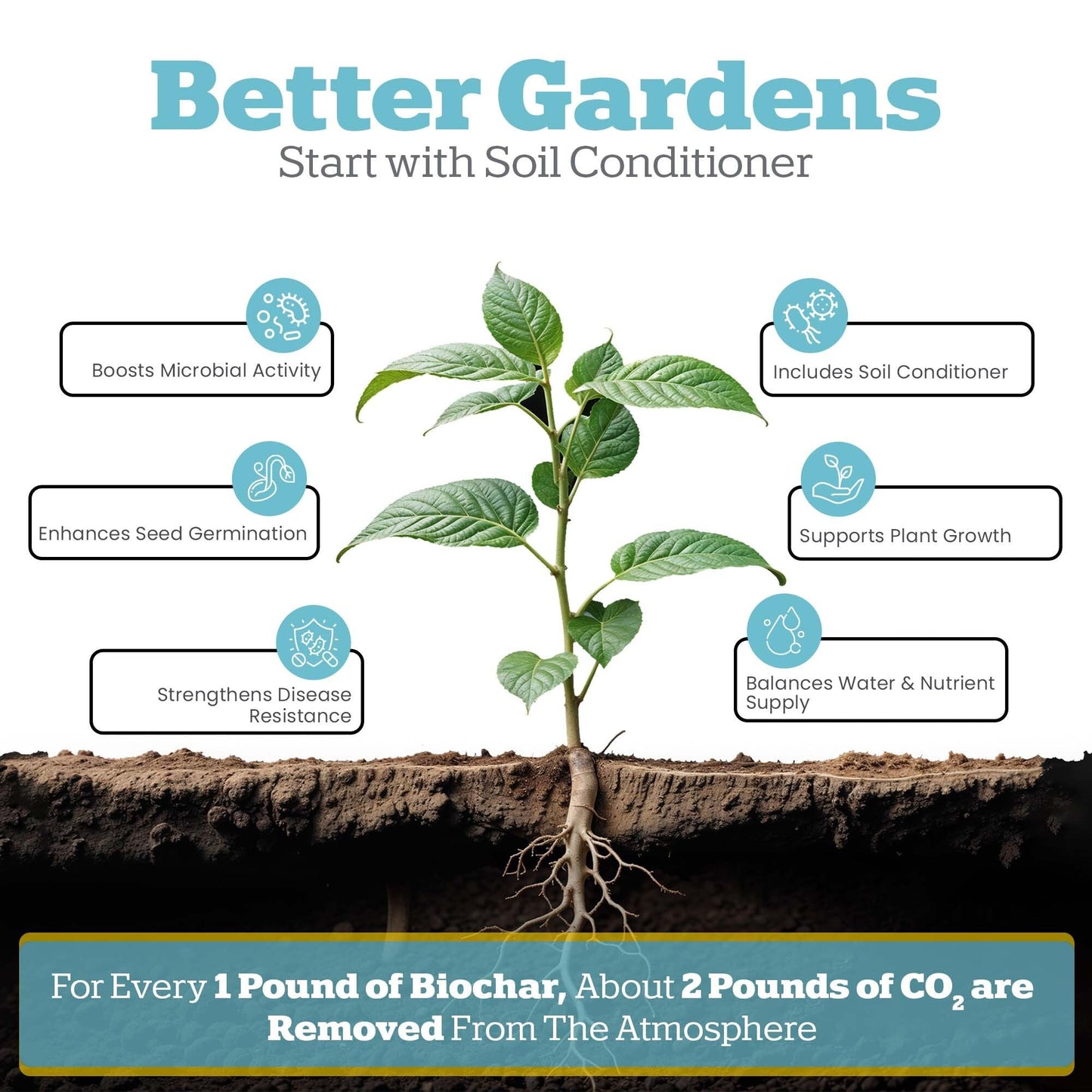 Wakefield Premium Organic Biochar Soil Amendment & Soil Conditioner – Certified Carbon-Negative Nutrient-Locking, Water-Efficient Bio Char for Plants & Lawns - Soil Amendments for Lawn - 2 Quart