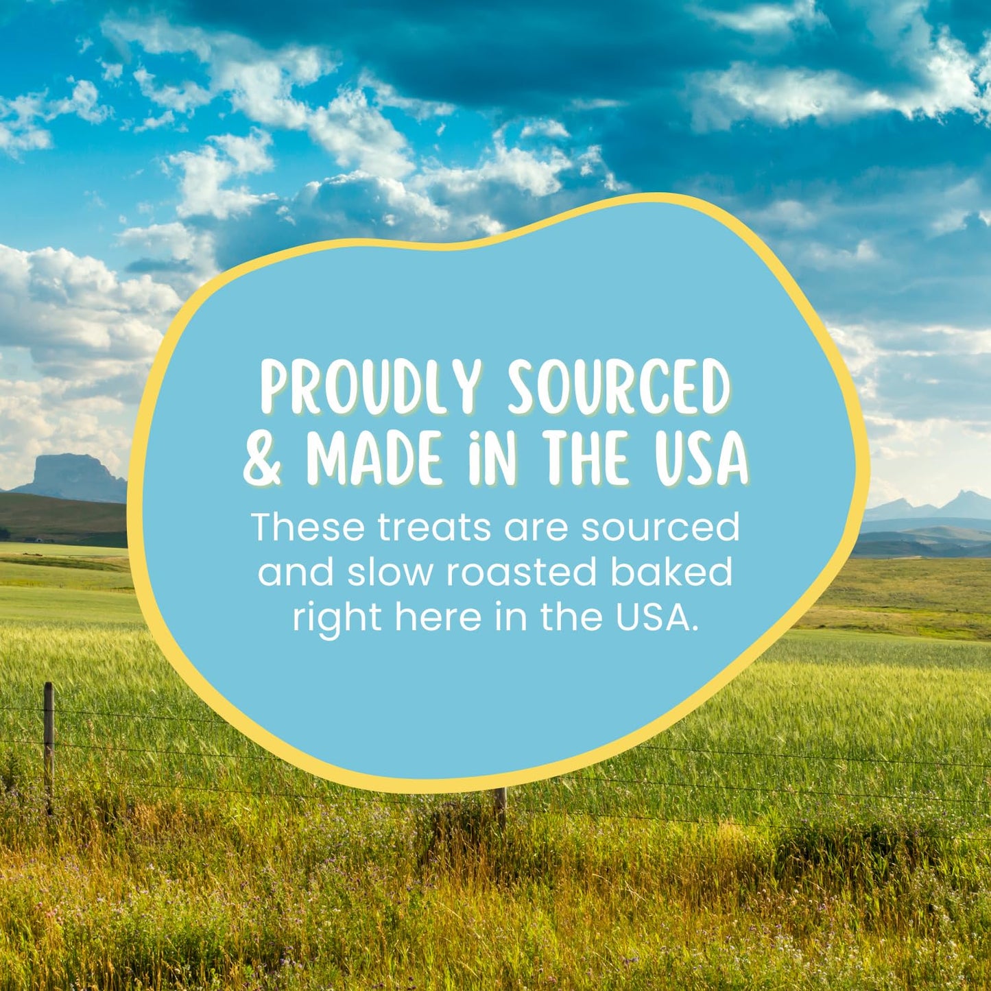 Hotspot Pets Premium Raw Single Ingredient Lamb Lung Dog Treats - 1lb Big Bag All-Natural, Made in USA - High Protein, Low Fat -Dehydrated for Freshness - A Rawhide Alternative for All Dogs