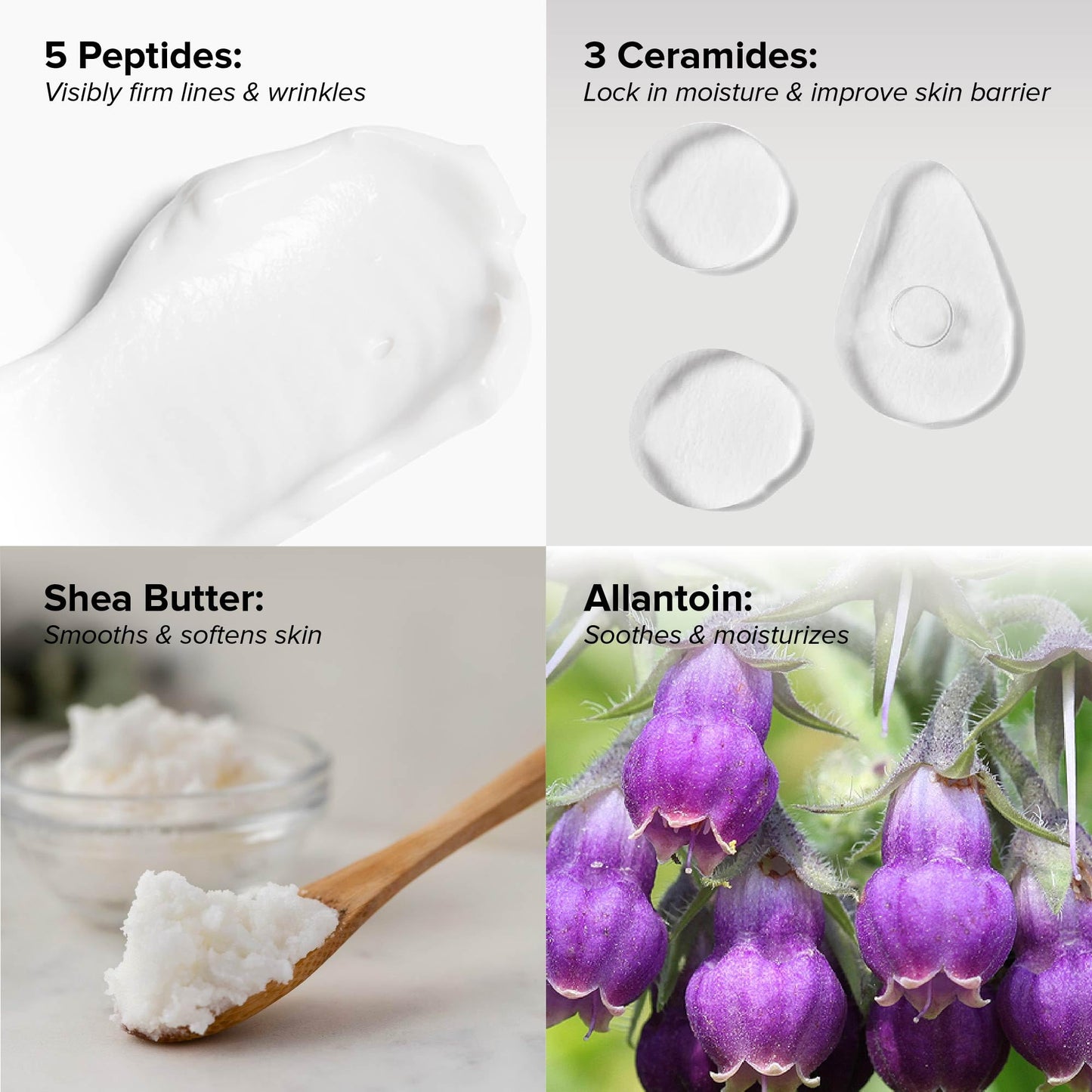 DRMTLGY Peptide Night Cream Face Moisturizer. Fragrance Free and Oil Free Hydrating Facial Moisturizer for All Skin Types. 2.1 oz, 2 pack