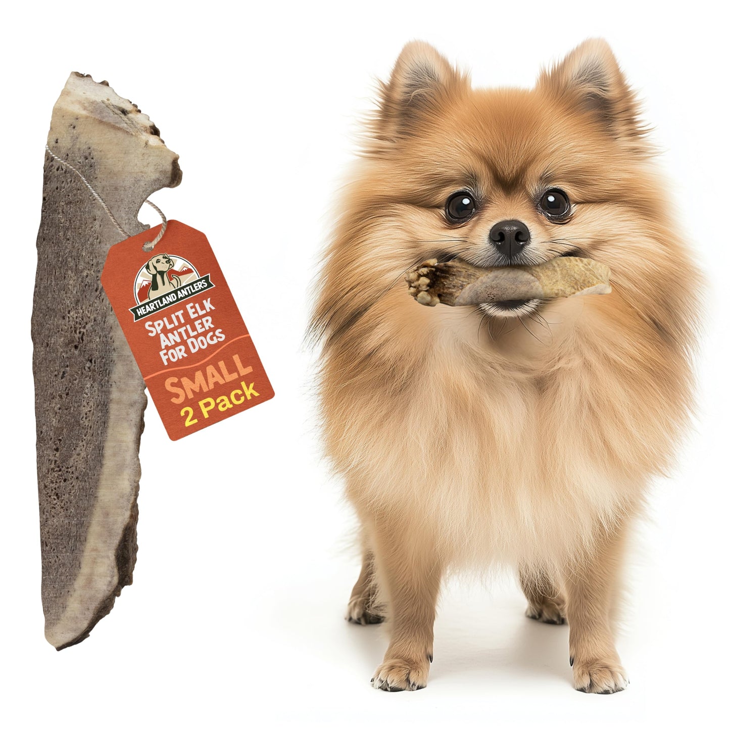 Heartland Elk Antlers for Dogs (Split Elk, 4–5", Small, 2-Pack) – Grade A, Naturally Shed | Safe, Durable Chew for Aggressive Chewers & Puppies | Splinter-Free | USA Made | Veteran Owned