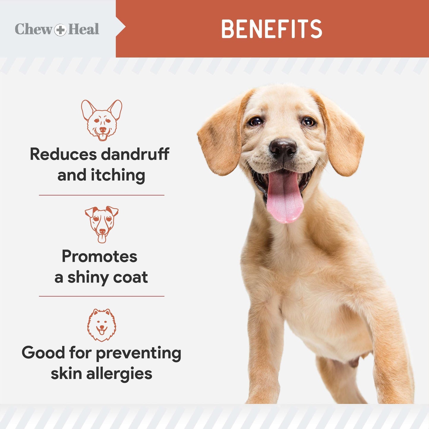Salmon Oil for Dogs - Soft Chew Omega Treats for Skin and Coat - Fish Oil Blend of Essential Fatty Acids, Omega 3 and 6, Vitamins, Antioxidants and Minerals - Made in USA