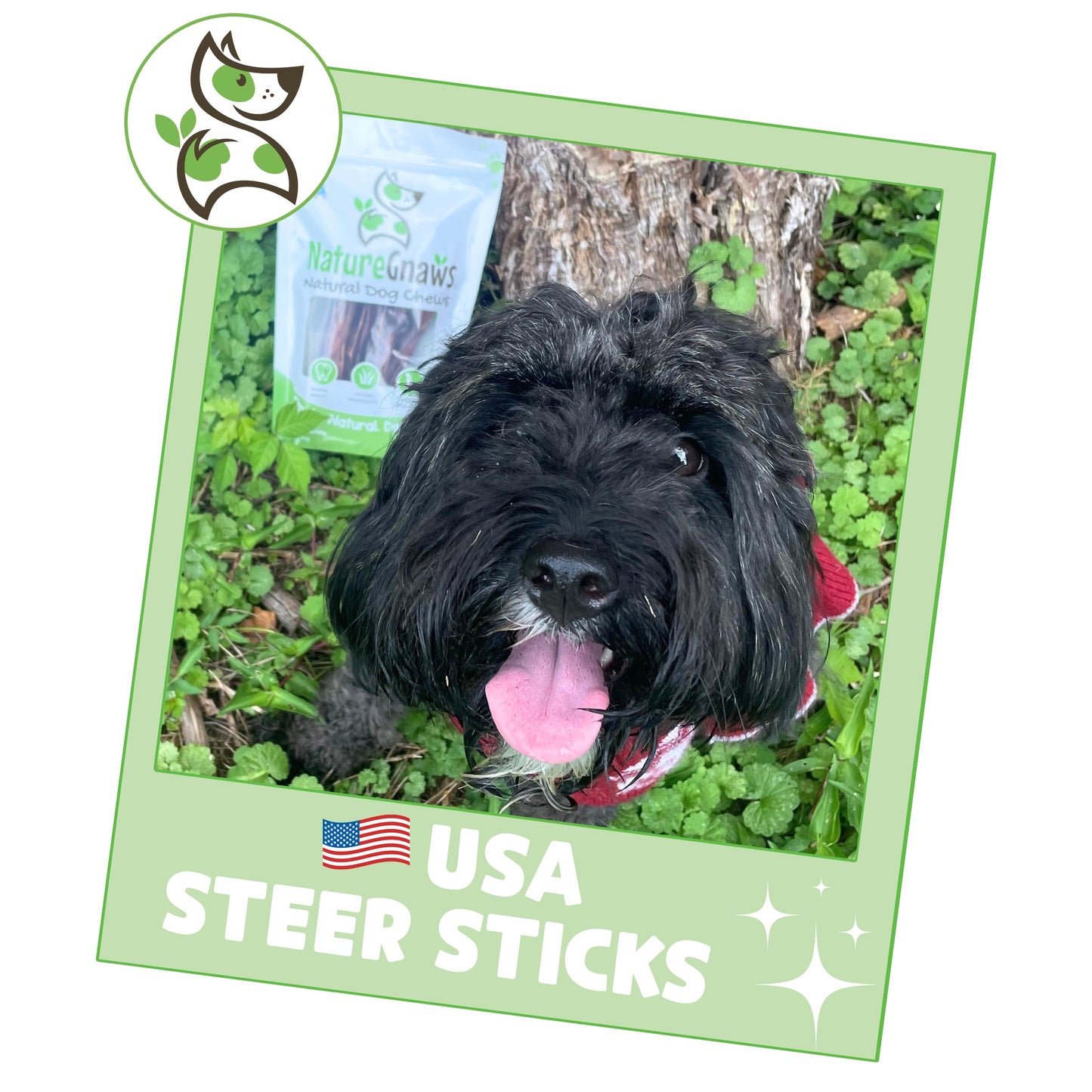Nature Gnaws USA Steer Sticks for Dogs - Mixed Thickness - Long Lasting for Aggressive Chewers and Large Dogs - Natural Beef Bully Dog Chew Bones