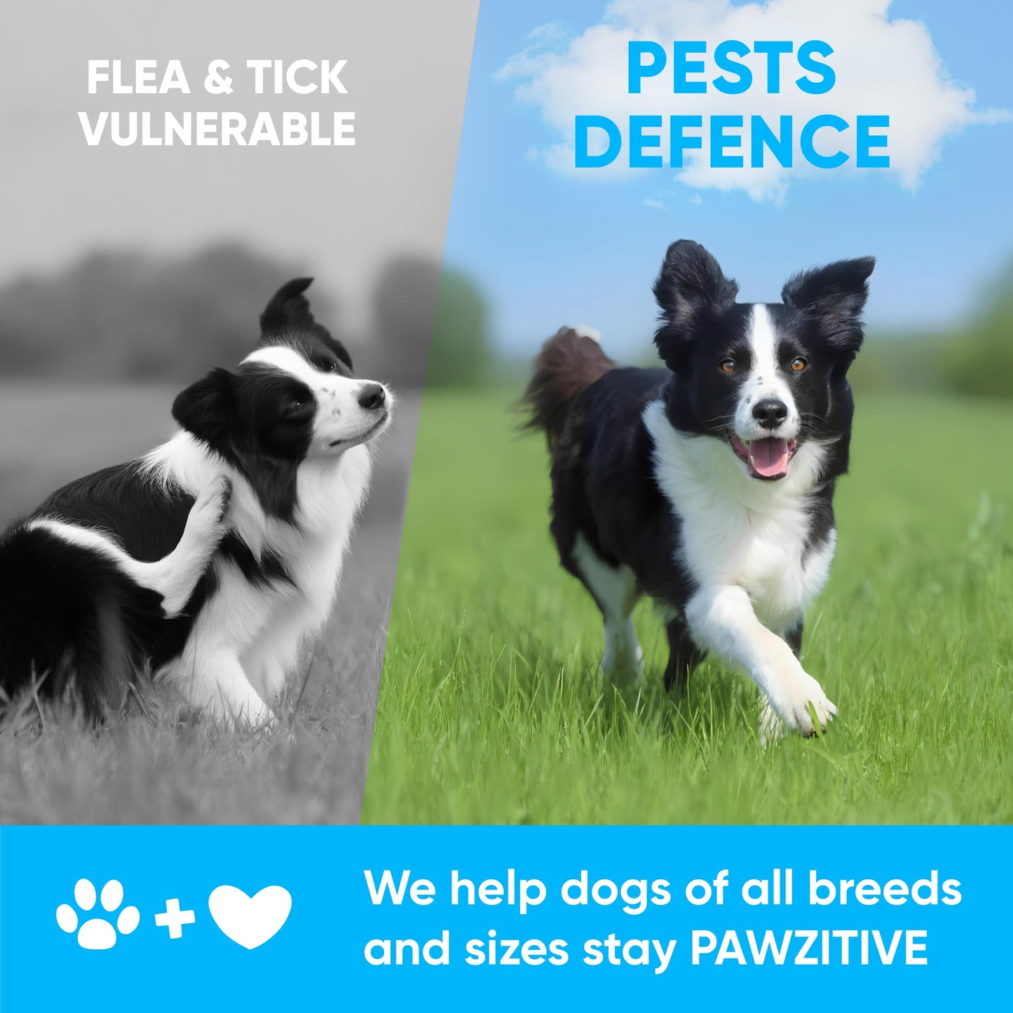 Chewable Flea and Tick Prevention for Dogs - 120 Soft Chews Made in USA - Oral Flea and Tick Control Pills for Small, Medium, Large Dogs and Puppies - Skin and Coat Supplement Treats for All Breeds