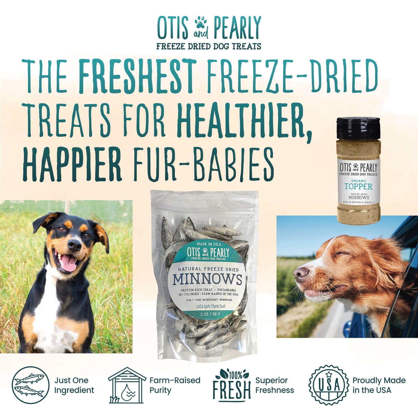Otis & Pearly Freeze Dried Minnow Dog Treats - Single Ingredient, Made in USA - Healthy Protein Treat for Small, Medium, Large Breeds