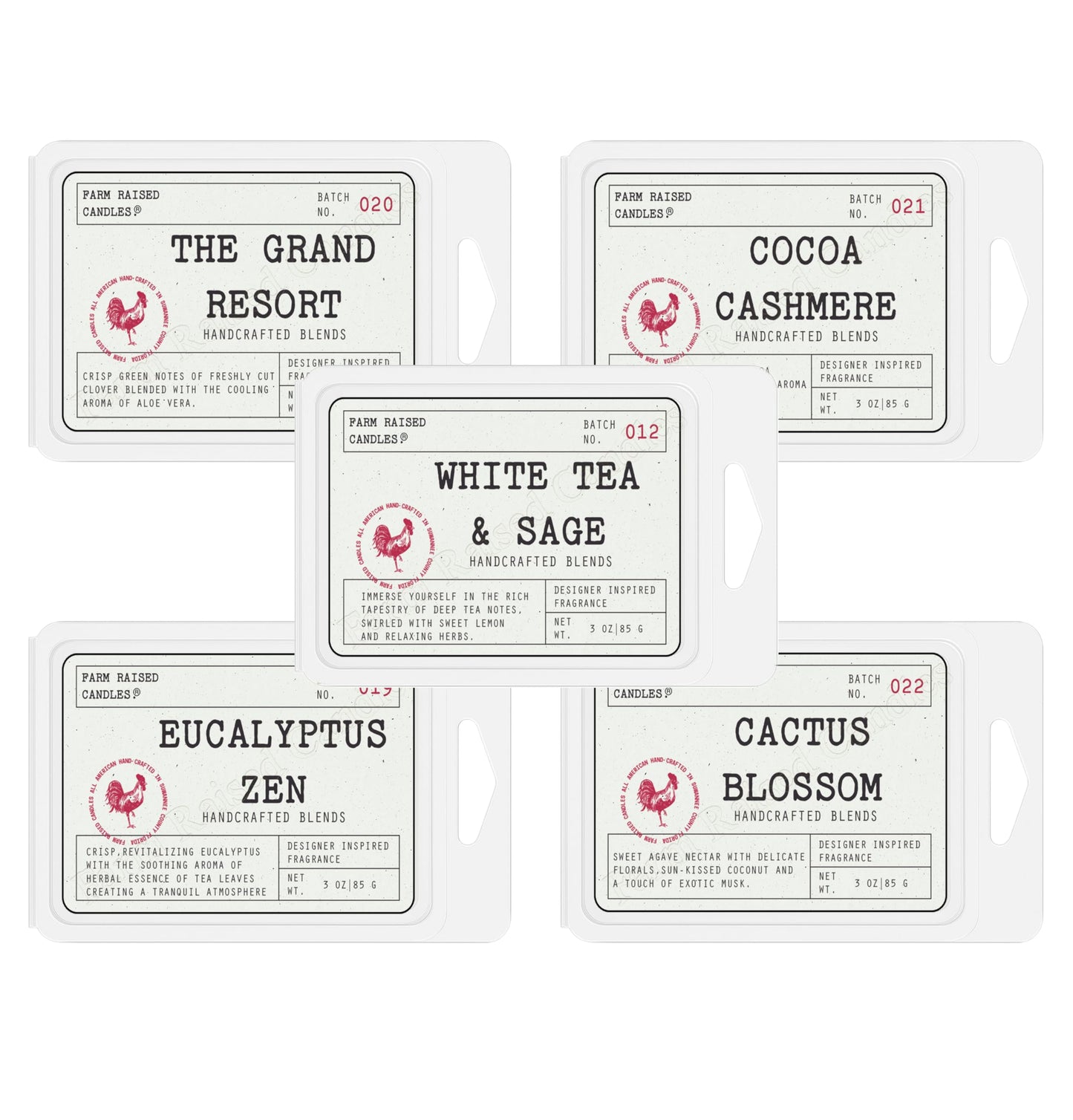 Farm Raised Candles Resort Soy Wax Melts Variety Pack – 5 Scents (16 oz Total) – Phthalate-Free, Made in USA – Includes Cashmere, Eucalyptus Zen, White Tea & Sage, Cactus, and Resort