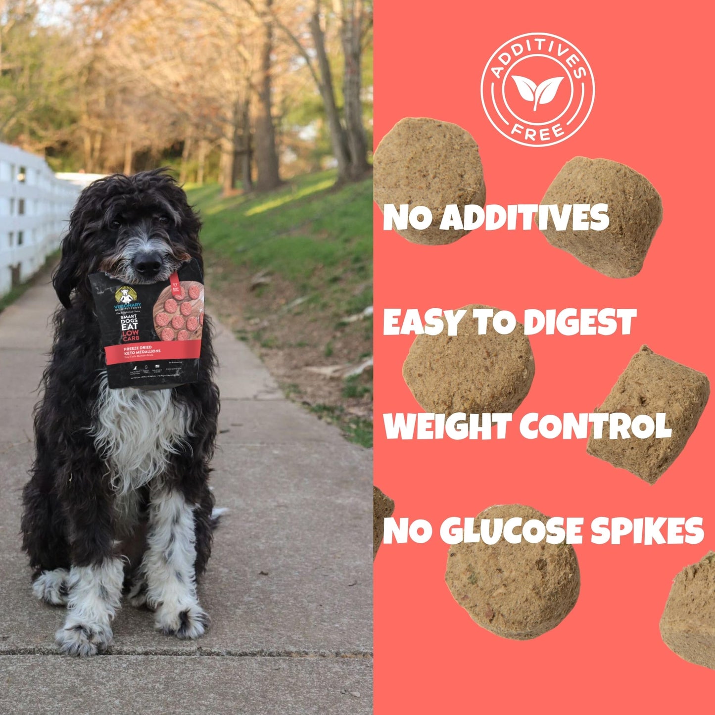 Visionary Pet Foods Beef Freeze Dried Real Meat Dog Treats, 310x Healthy Treats, Low Carb, Grain Free – Organic, Human Grade Food, Freeze Dried Dog Training Treats, Value Size 25oz