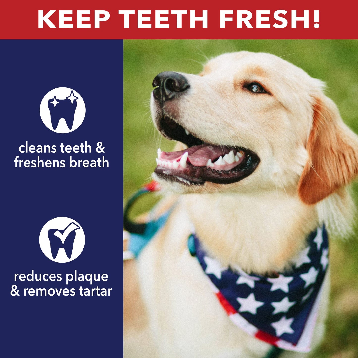 Pet Factory 100% Made in USA Beefhide 8" Rolls Dog Chew Treats - Natural Flavor, 15 Count/1 Pack