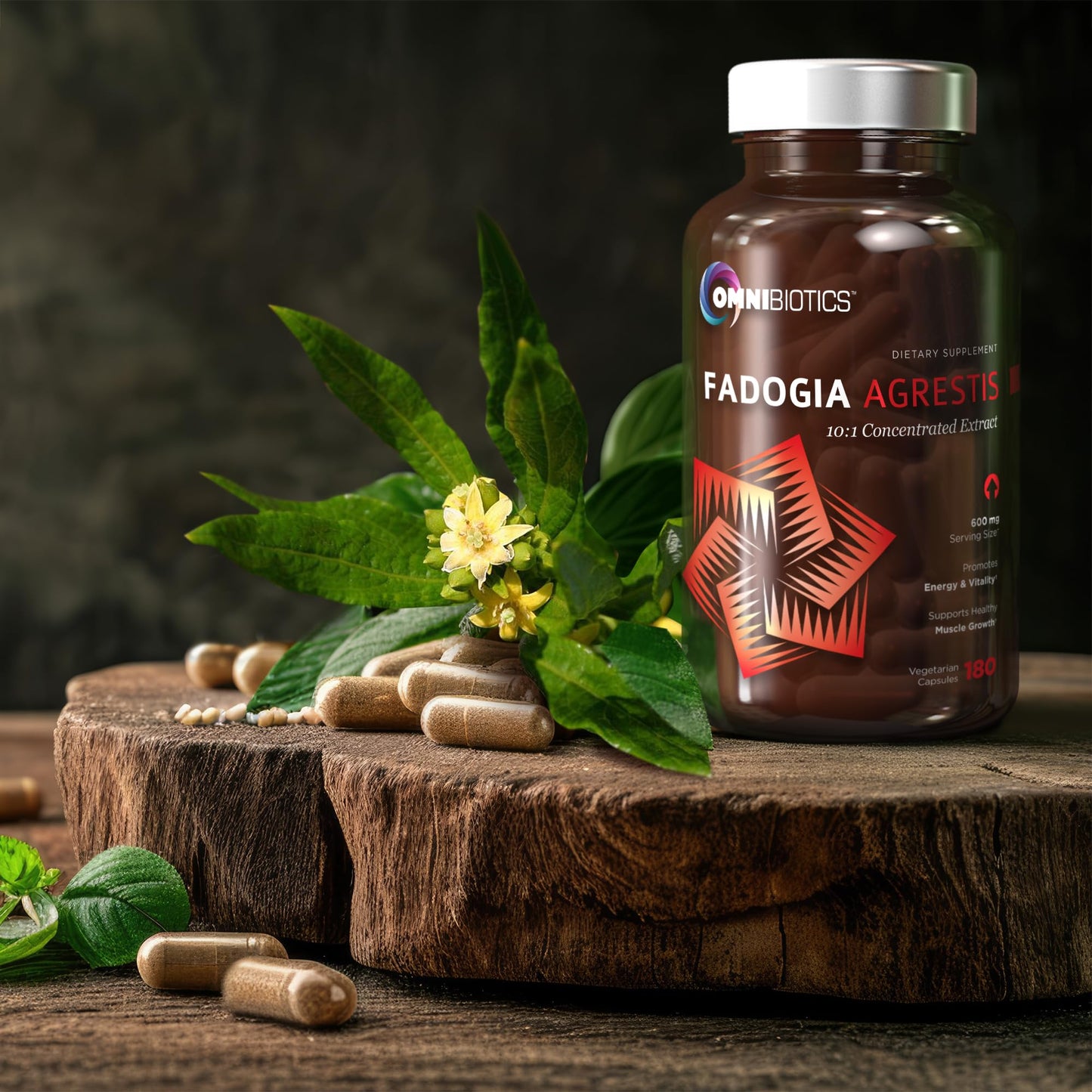 OmniBiotics Fadogia Agrestis 600mg Per Serving (180 Capsules) - 100% Standardized 10:1 Extract Supplement for Muscle Growth & Recovery, Increase Energy, Athletic Performance (90 Days)