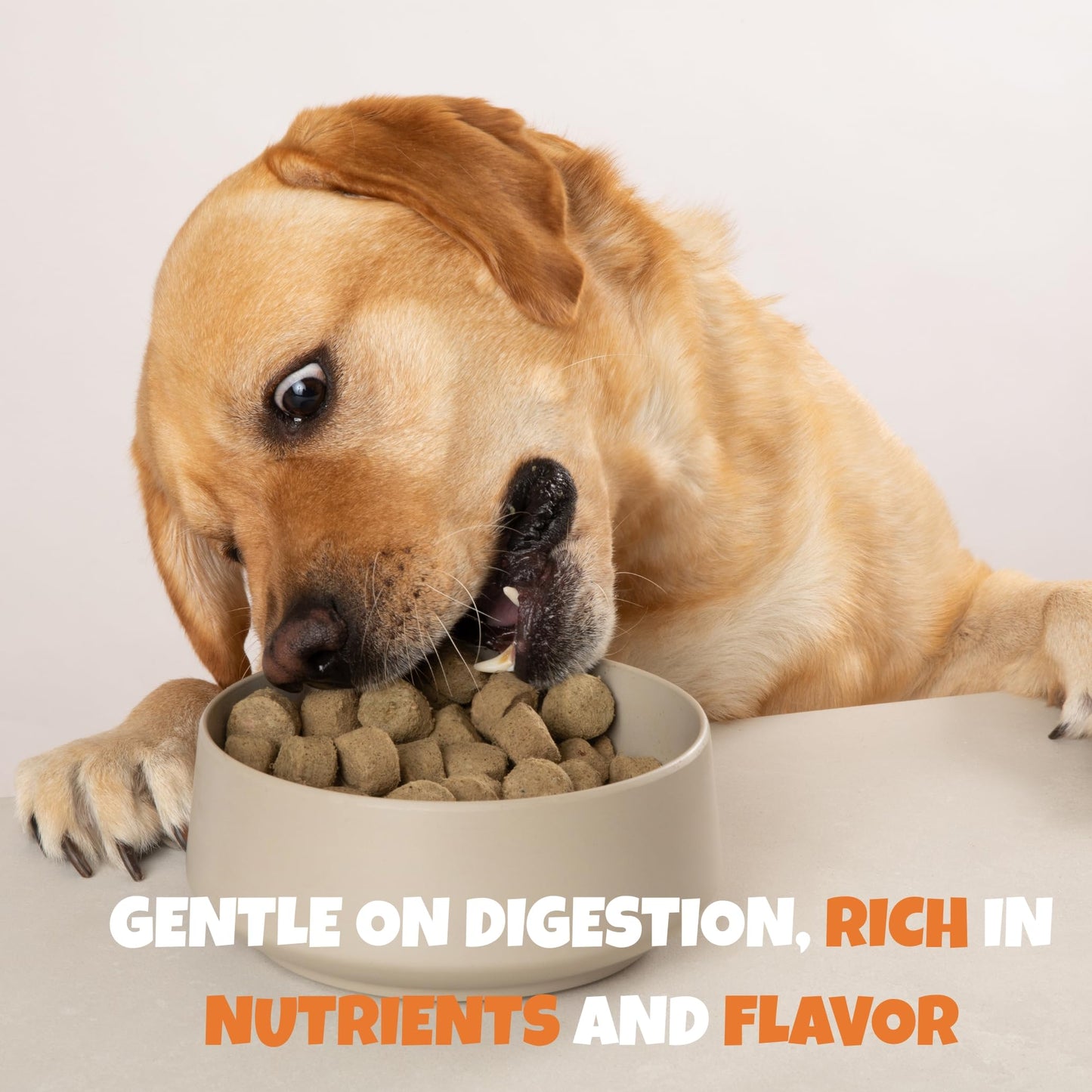 Visionary Pet Foods Chicken Freeze Dried Dog Food, Healthy Training Treats for Puppy or Large Dogs, High Protein, Low Carb, Grain Free, Weight Control, Single Ingredient No Additives, Value Size 25oz