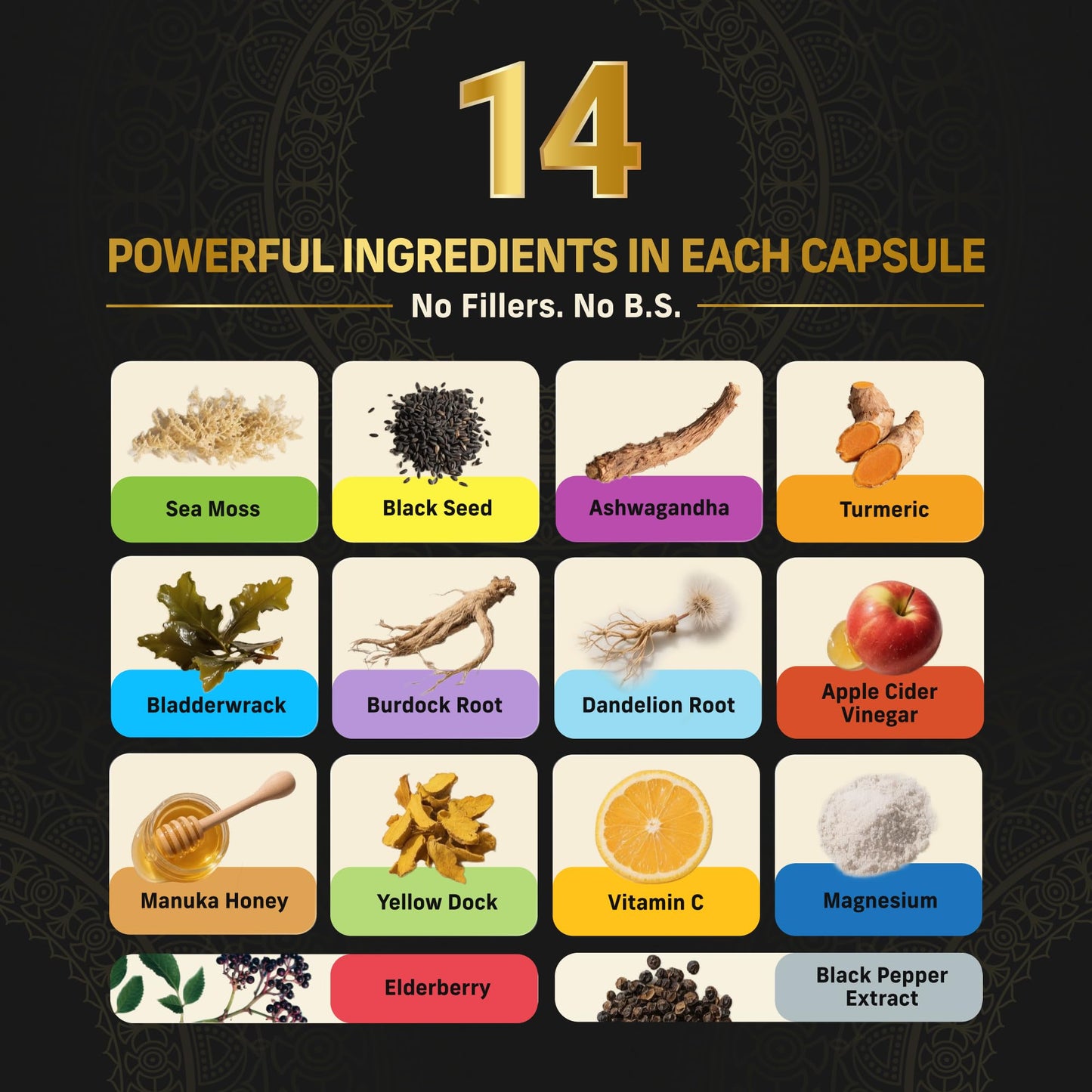 Alpha Tribe Multivitamin for Men with Sea Moss, Black Seed Oil, Ashwagandha, Turmeric Bladderwrack, Burdock,Vitamin C, Elderberry, Manuka, Yellow Dock | Daily Men's Vitamins and Minerals Supplement