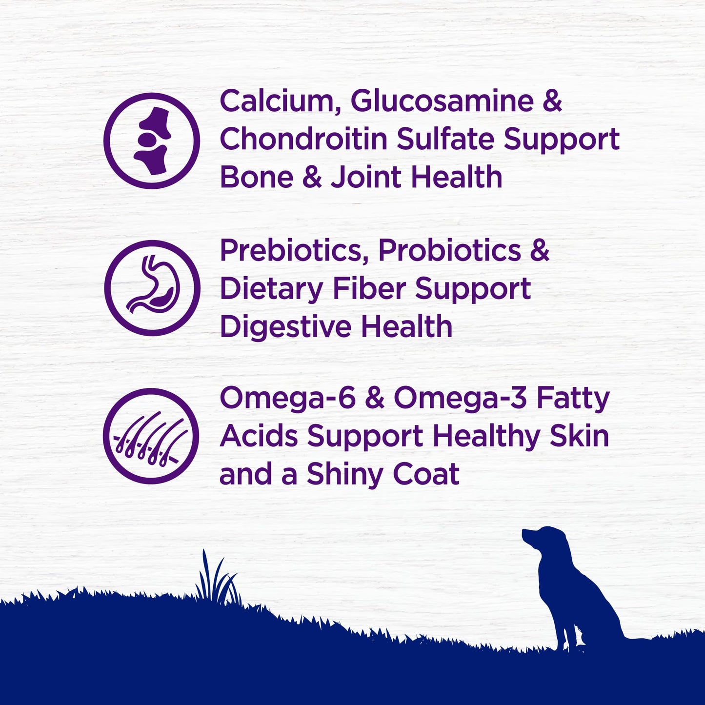 Wellness Complete Health Dry Dog Food, Wholesome Grains, Natural, Chicken & Brown Rice Recipe