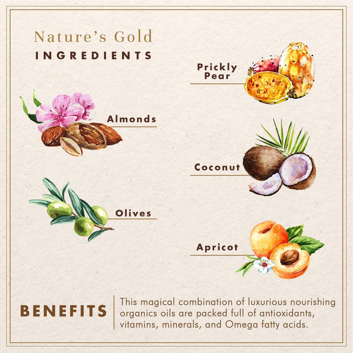 WHOLENATURALS Pure Castile Soap Liquid, EWG Verified & Certified Palm Oil Free Unscented, Natural, Mild & Gentle Non-gmo & Vegan - Organic Body Wash, Laundry, Pet/Dog and Baby Soap - 64 Fl Oz