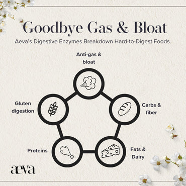 Aeva Digestive Enzymes – Anti-Bloat & Gas Relief for Dairy, Gluten, Protein & Fat – Broad-Spectrum Enzyme Formula with Single Capsule Convenience – Made in California & Functional Medicine Backed
