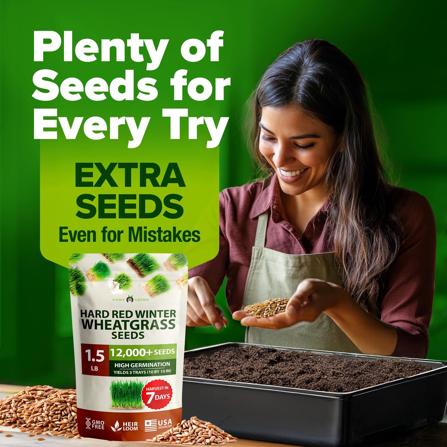 HOME GROWN 12,000+ Wheatgrass Seeds Bulk Pack(1.5 lb) π‘π’π‘-ππ π’ π¨π¦π Hard Red Winter Wheatgrass β Heirloom, Sprouting for Juicing, Microgreens, Smoothies & Indoor Gardening(Triticum aestivum)