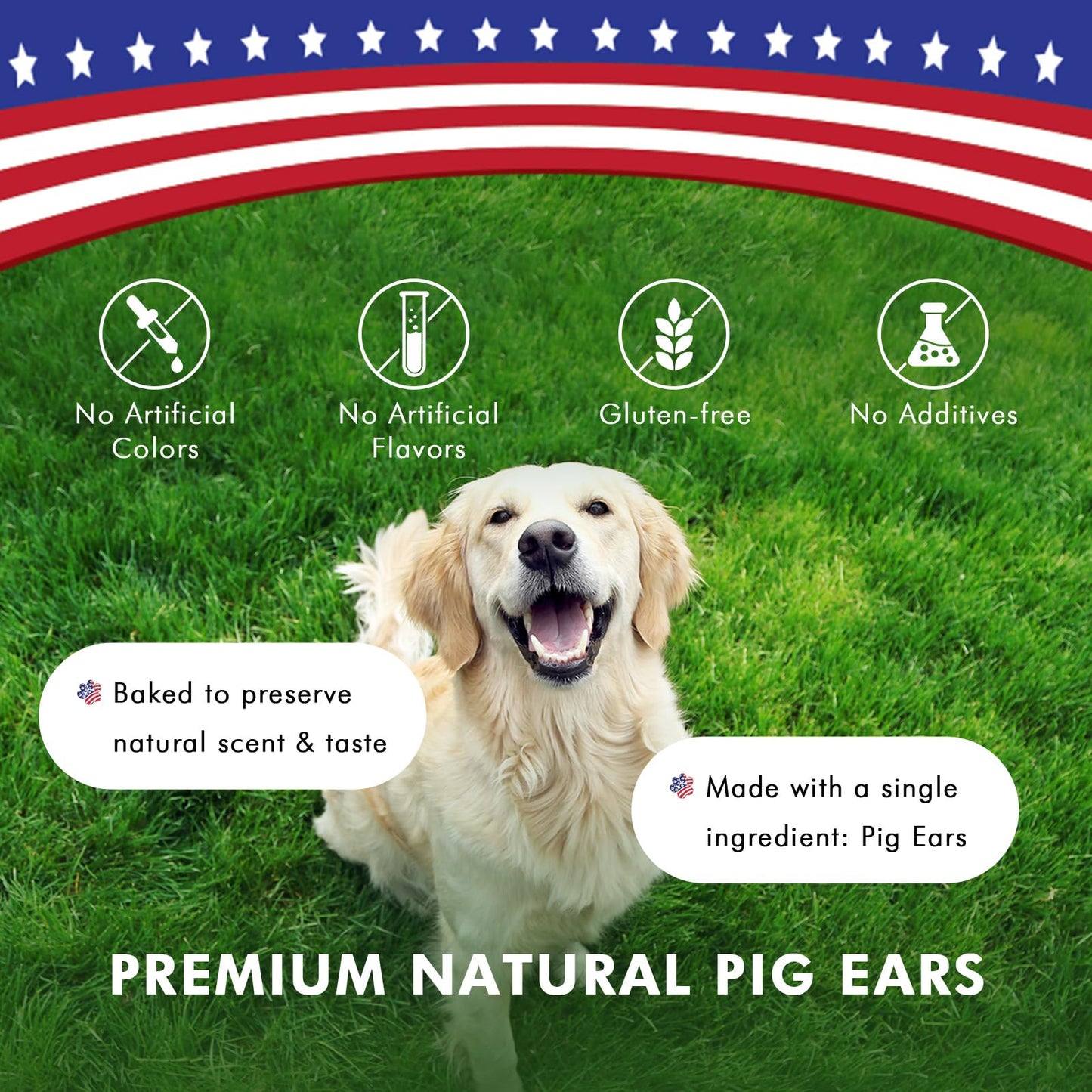 Pawfetto Premium Natural Whole Pig Ears, Easily Digestible Non-Rawhide Dog Chews, Long-Lasting Treats, Snacks for Dogs (Pack of 6)
