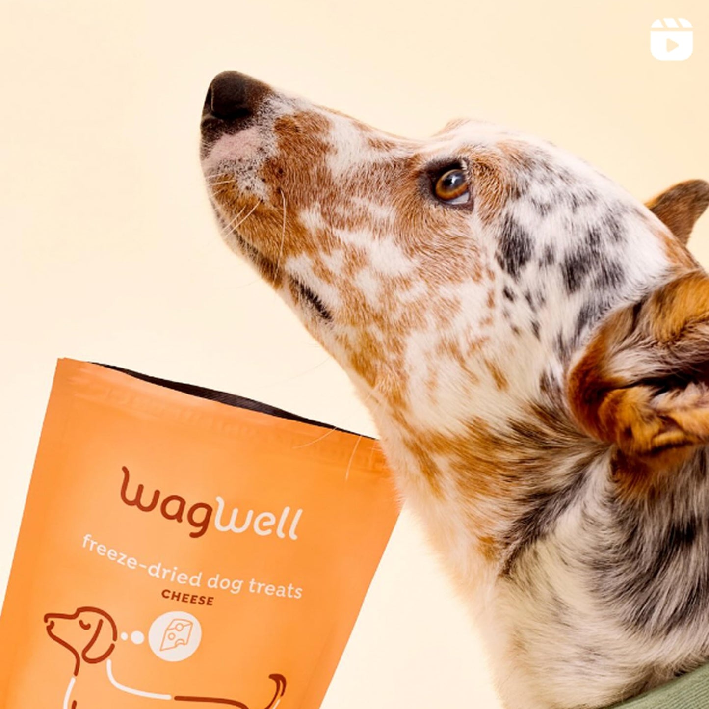 WagWell Freeze Dried Cheese Dog Treats - Grain-Free, High-Protein Pasteurized Dog Treats Made in The USA - Human-Grade, Minimally Processed & Preservatives Free