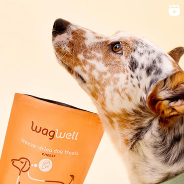 WagWell Freeze Dried Cheese Dog Treats - Grain-Free, High-Protein Pasteurized Dog Treats Made in The USA - Human-Grade, Minimally Processed & Preservatives Free