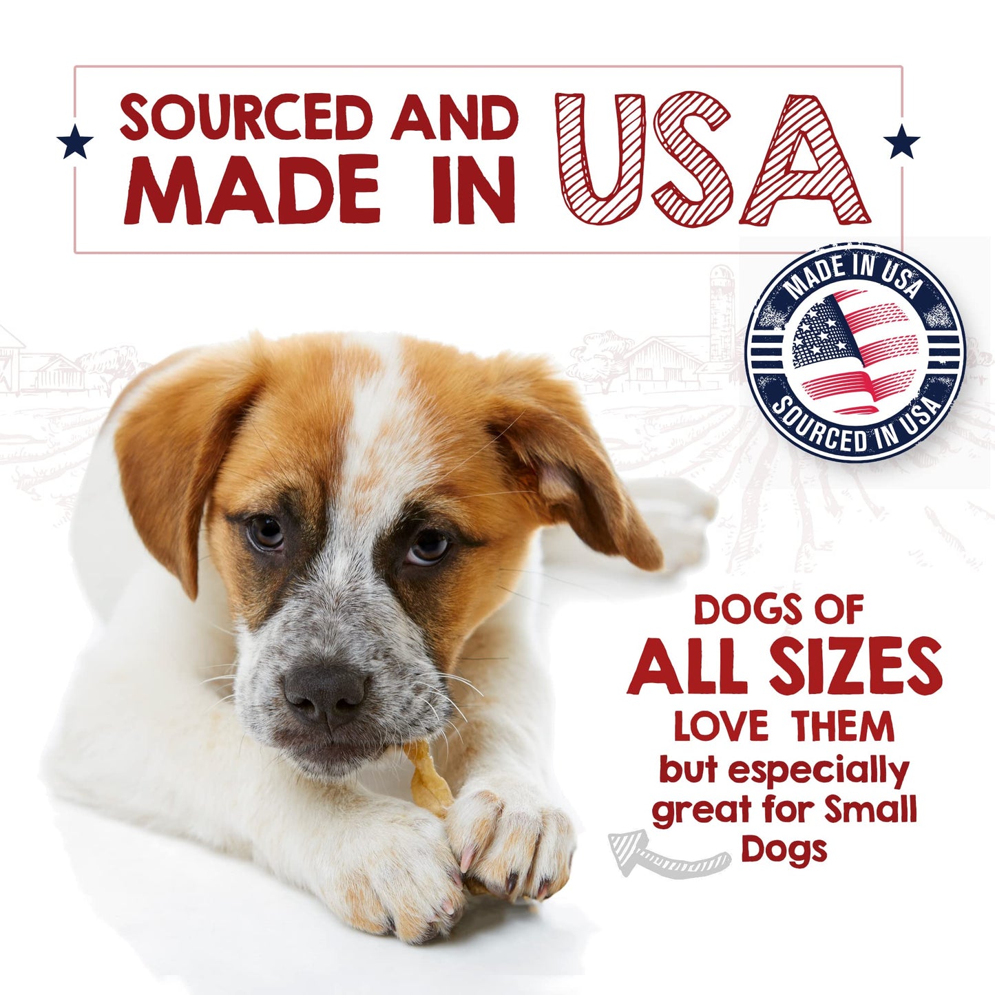 Riley's Turkey Tendons for Dogs Made in The USA & Sourced in The USA - Single Ingredient Dog Treats - All Natural Turkey Tendon Chews for Dogs - 4 oz