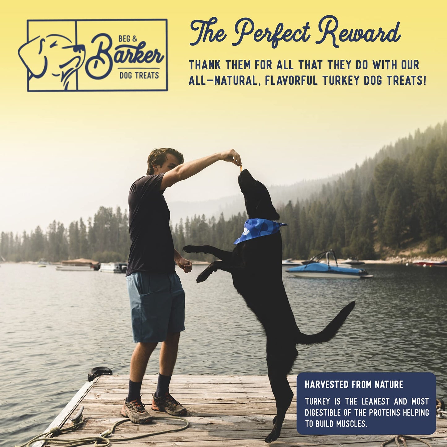 Beg & Barker Turkey Jerky for Dogs - Dog Training Treats - Natural Dog Treats Made in The USA - Grain Free, Diabetic-Friendly, High Protein, Sugar-Free