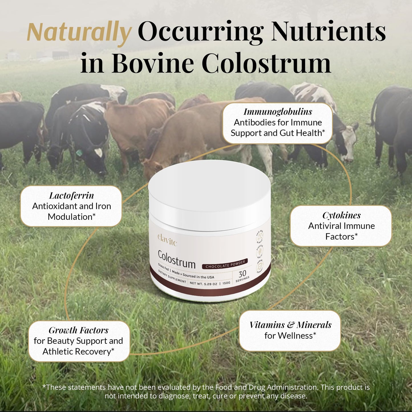 Elavite Colostrum Powder (Chocolate) Grass Fed Colostrum Supplement for Gut Health, Immune Support Healthy Hair, Skin & Nails - 30 Servings