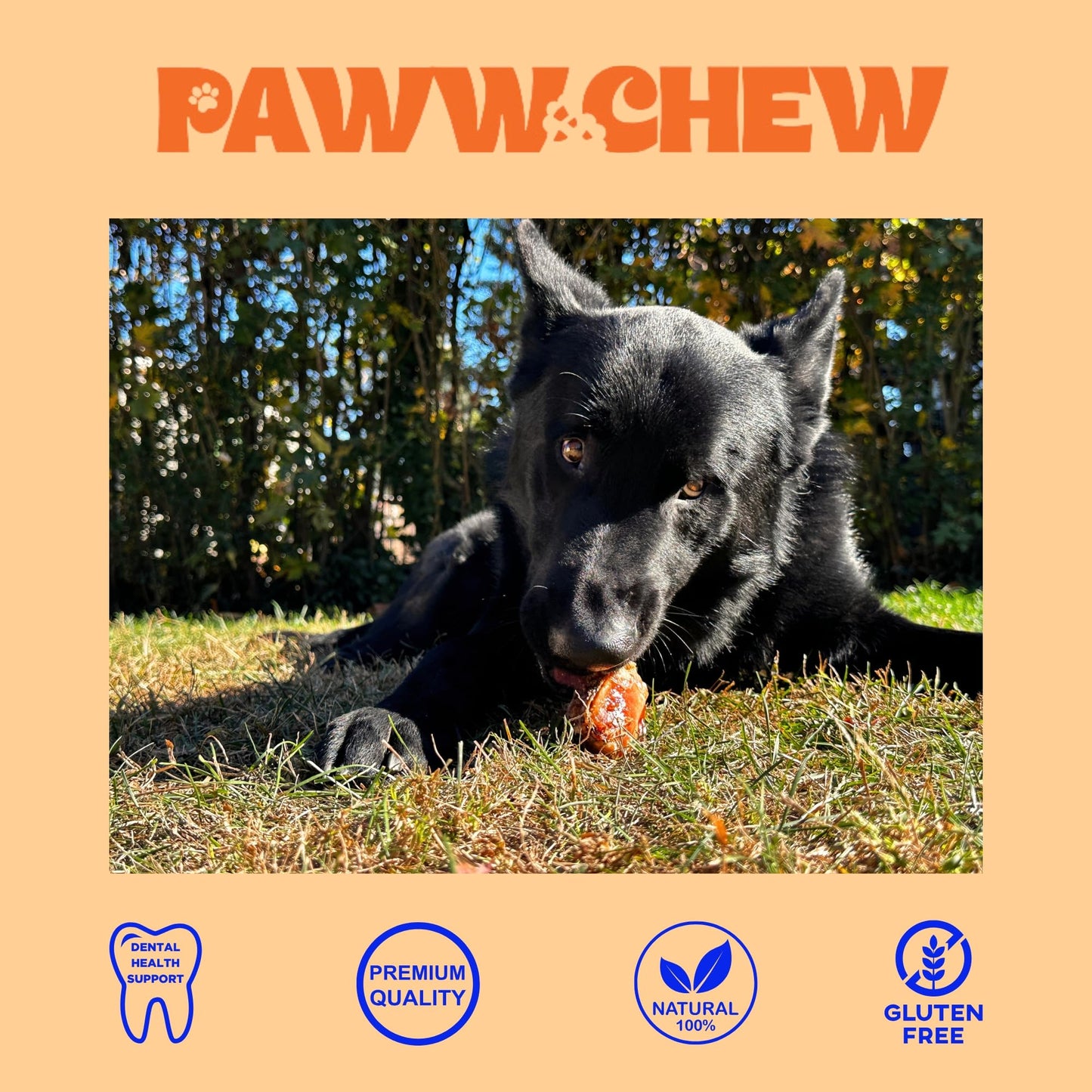 Paww Chew Knee Caps for Dogs, 100% Natural, Single Ingredient (12 Pack) Made and Sourced in the USA, High Protein, Grass-Fed Beef Knee Caps & Knuckle Bones, Long Lasting Cow Knee Caps, Meaty Dog Bones