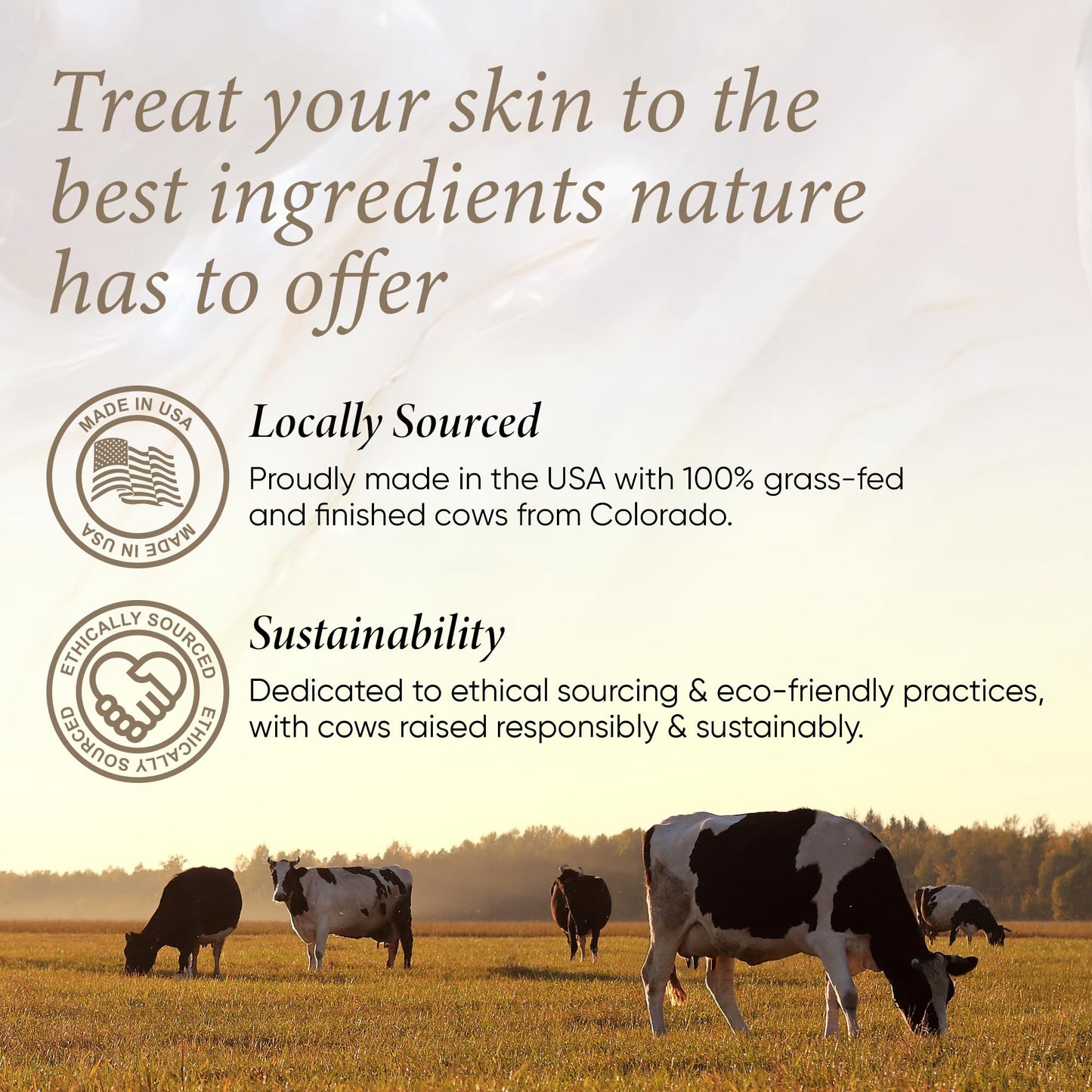 Honeyskin Whipped Tallow and Honey Balm – 100% Grass-Fed All Natural Mountain Beef Tallow for Skin Face Moisturizer – Nourishing, Hydrating Balm for Dry, Sensitive Skin – Gentle Soothing Care, 2oz