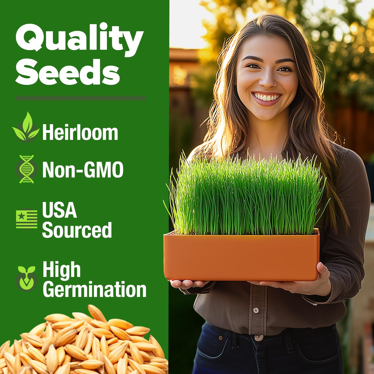 HOME GROWN 12,000+ Wheatgrass Seeds Bulk Pack(1.5 lb) π‘π’π‘-ππ π’ π¨π¦π Hard Red Winter Wheatgrass β Heirloom, Sprouting for Juicing, Microgreens, Smoothies & Indoor Gardening(Triticum aestivum)