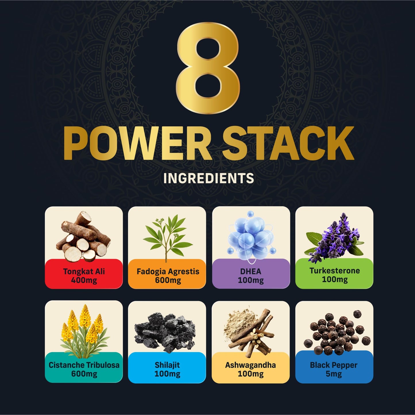 Alpha Tribe Test Protocol - Elite Natural Testosterone for Men | Testosterone Supplement for Men with Ashwagandha & Tongkat Ali | Muscle Growth, Libido, Stamina & Strength Support