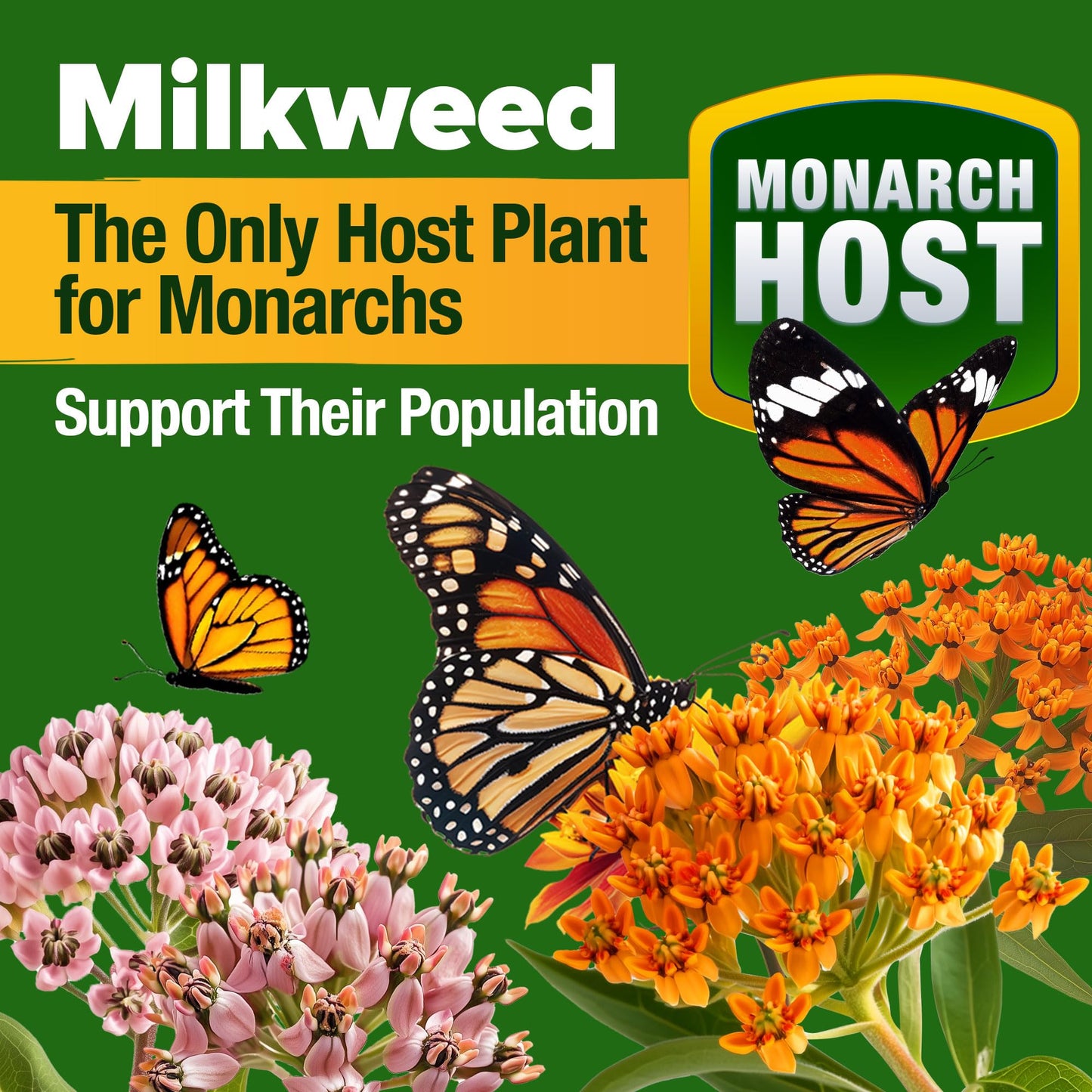 HOME GROWN Monarch Butterfly Wildflower Seeds Mix (2oz) 20000+ π‘π’π‘-ππ π’ π¨π¦π Milkweed Seeds for Monarch Butterflies, Bulk Perennial Wildflowers, Annual Flowers for Pollinator Gardens