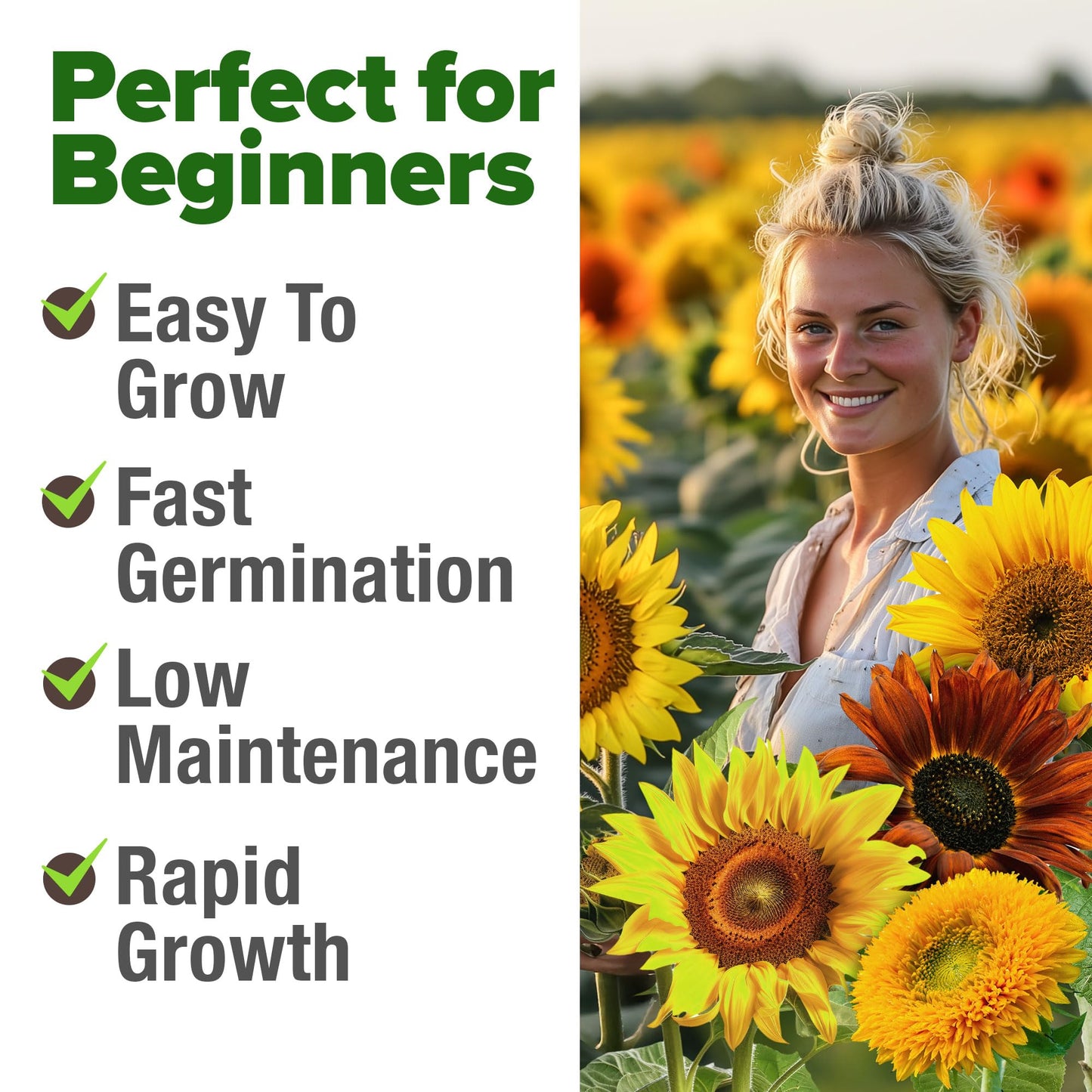 HOME GROWN Sunflower Seeds Mix Pack 1,500+ 9 Colorful Varieties of Sun Flower Seeds to Plant - 2-10ft Tall Plants, Pollinator Friendly π‘π’π‘-ππ π’ π¨π¦π β Easy to Grow, High Germination