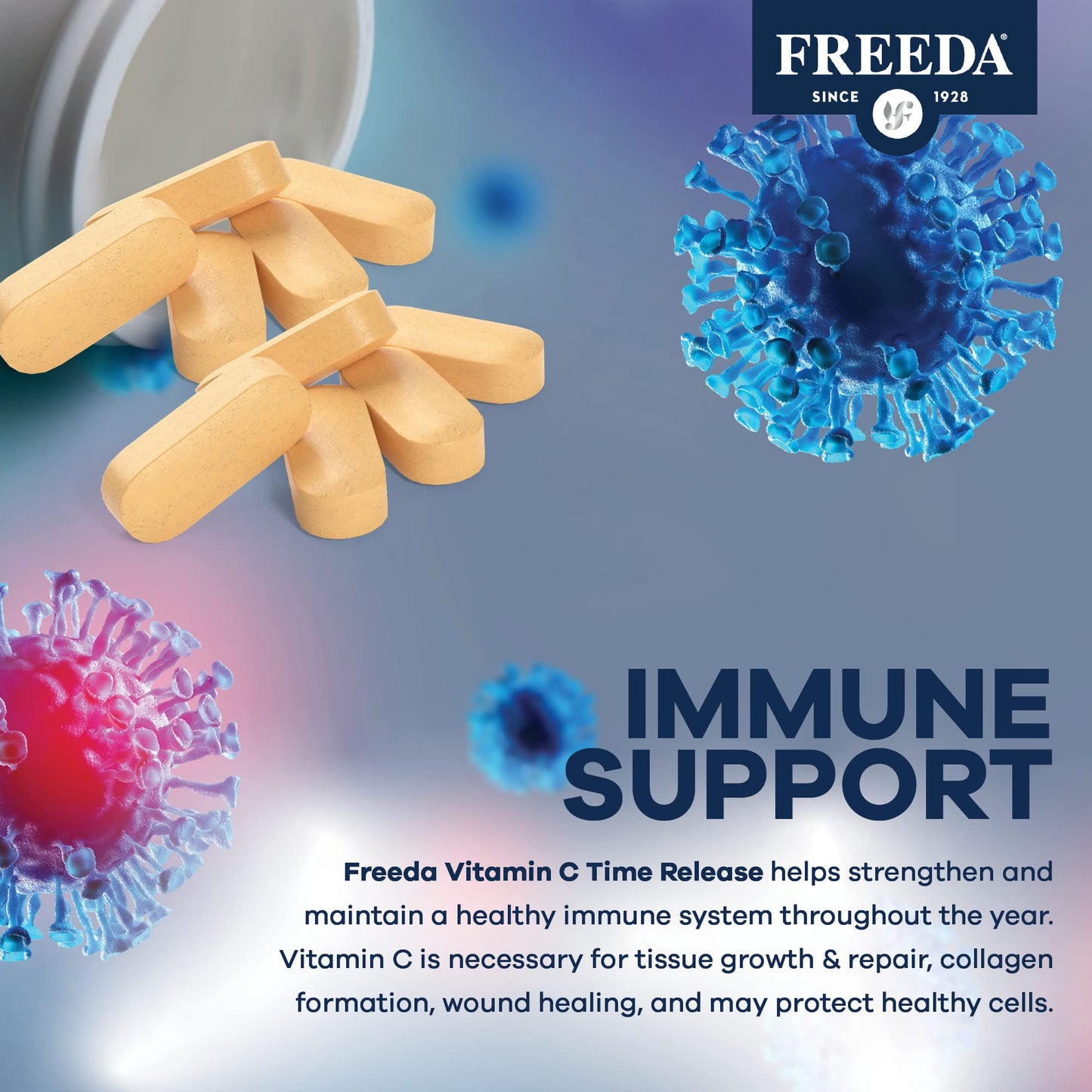 FREEDA Timed Release Vitamin C 1000mg – Slow-Release for All-Day Immune & Antioxidant Support, Gentle on Stomach, Kosher & Vegan, High-Absorption Tablets (100 Tablets)
