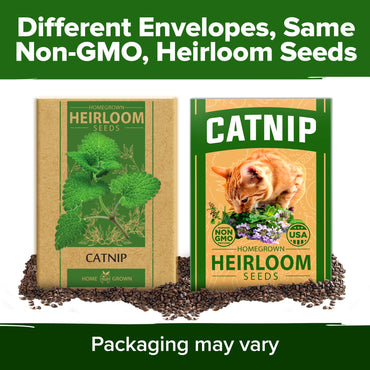 HOME GROWN 𝗨𝗦𝗔 𝗣𝗥𝗘𝗠𝗜𝗨𝗠 Catnip Seeds (Bulk Pack) 𝗡𝗢𝗡-𝗚𝗠𝗢 Heirloom Herb 2,116 Seeds - Indoor or Outdoor Seed - High-Germination Cat Nip - Cat Safe Plants (Nepeta cataria)